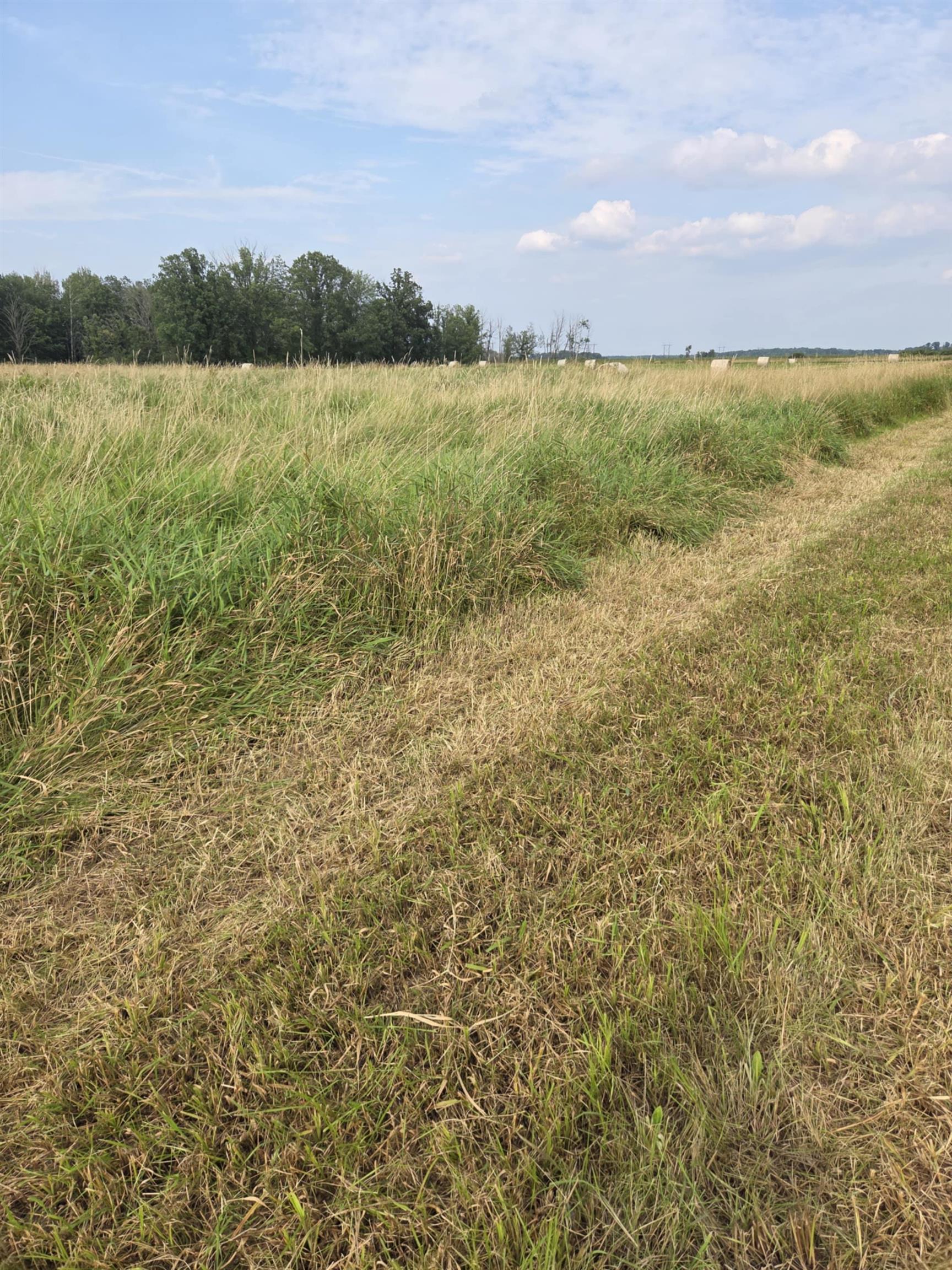 40 Acres COUNTY ROAD II, Rudolph, Wisconsin 54475, ,Land,For Sale,40 Acres COUNTY ROAD II,22604643