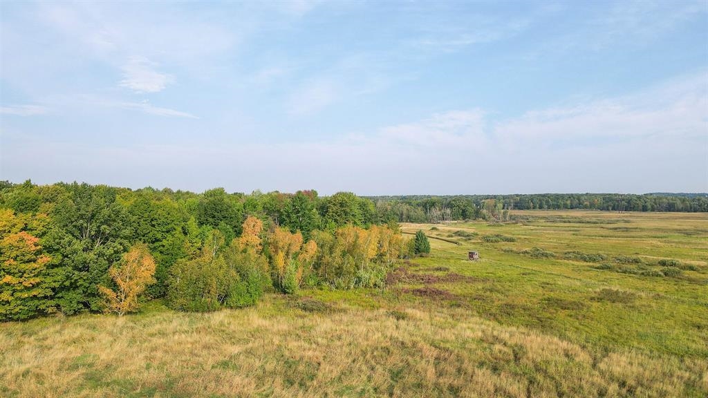40 Acres COUNTY ROAD II, Rudolph, Wisconsin 54475, ,Land,For Sale,40 Acres COUNTY ROAD II,22604643