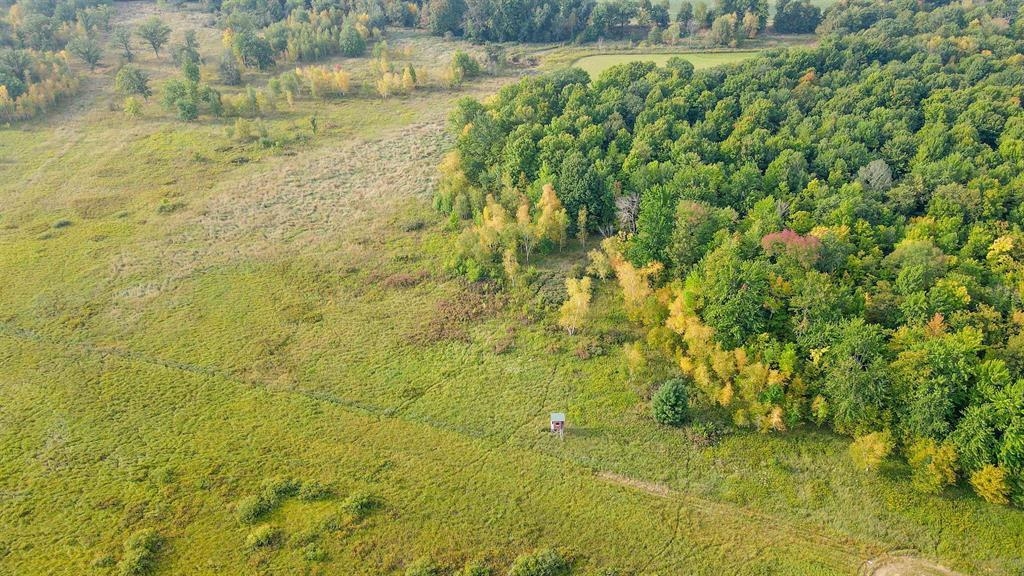 40 Acres COUNTY ROAD II, Rudolph, Wisconsin 54475, ,Land,For Sale,40 Acres COUNTY ROAD II,22604643