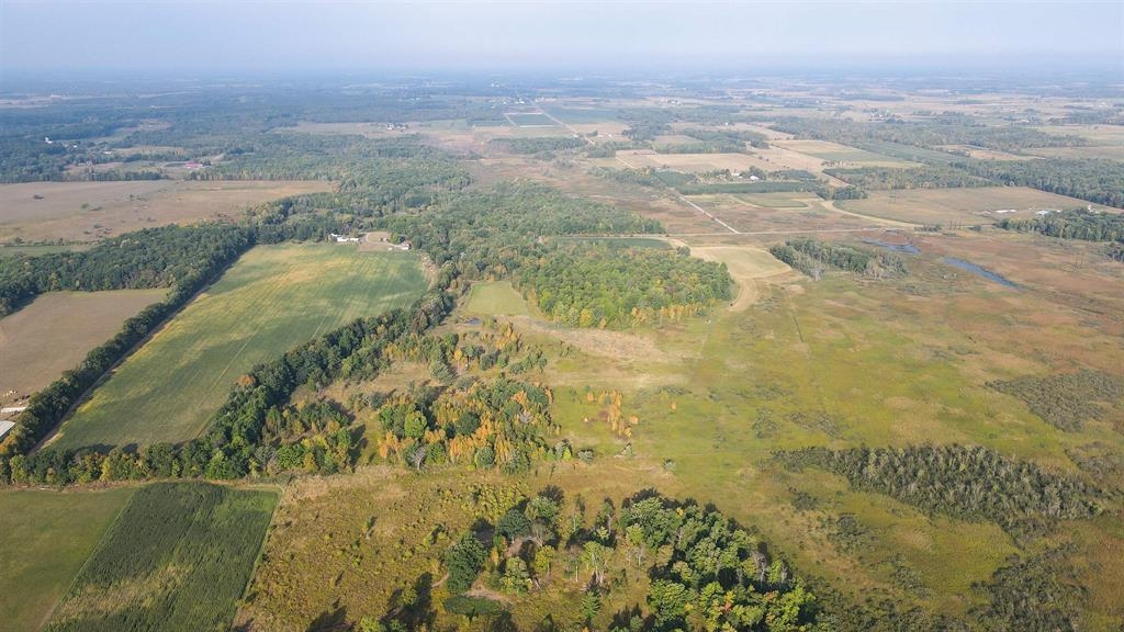 40 Acres COUNTY ROAD II, Rudolph, Wisconsin 54475, ,Land,For Sale,40 Acres COUNTY ROAD II,22604643