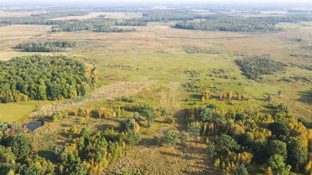40 Acres COUNTY ROAD II, Rudolph, Wisconsin 54475, ,Land,For Sale,40 Acres COUNTY ROAD II,22604643