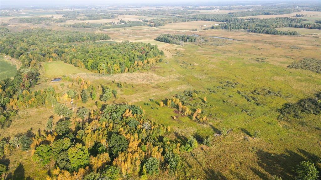 40 Acres COUNTY ROAD II, Rudolph, Wisconsin 54475, ,Land,For Sale,40 Acres COUNTY ROAD II,22604643