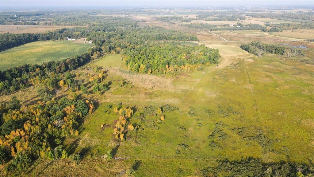40 Acres COUNTY ROAD II, Rudolph, Wisconsin 54475, ,Land,For Sale,40 Acres COUNTY ROAD II,22604643
