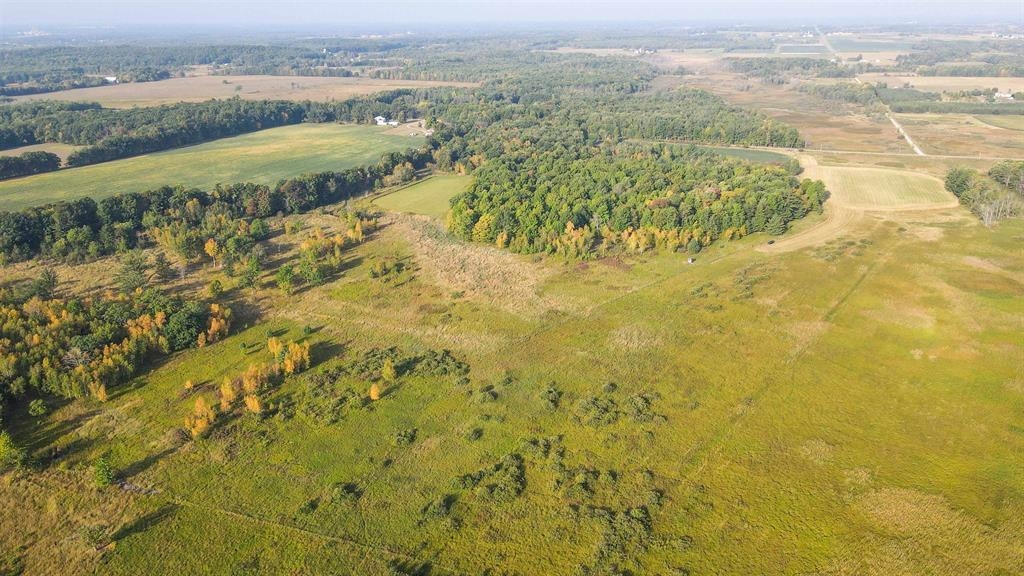 40 Acres COUNTY ROAD II, Rudolph, Wisconsin 54475, ,Land,For Sale,40 Acres COUNTY ROAD II,22604643