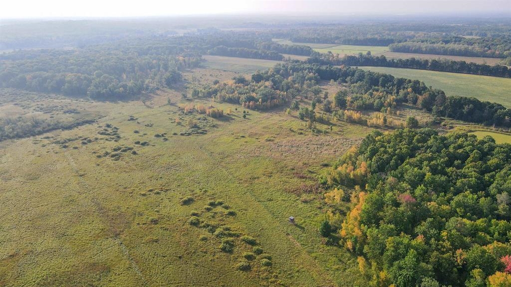40 Acres COUNTY ROAD II, Rudolph, Wisconsin 54475, ,Land,For Sale,40 Acres COUNTY ROAD II,22604643
