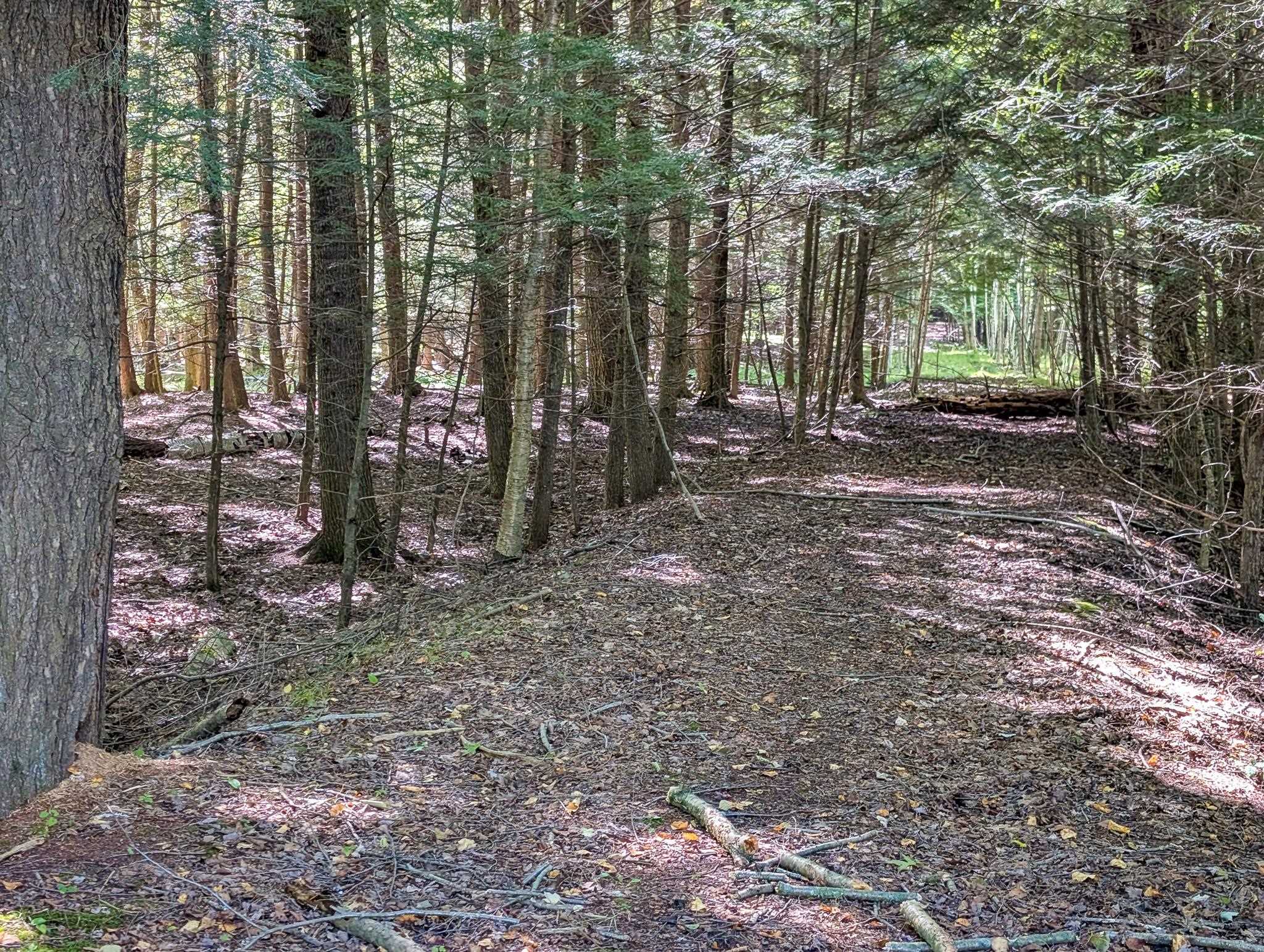 1115 W CASSIDY DRIVE, Wausau, Wisconsin 54401, ,Land,For Sale,1115 W CASSIDY DRIVE,22604650