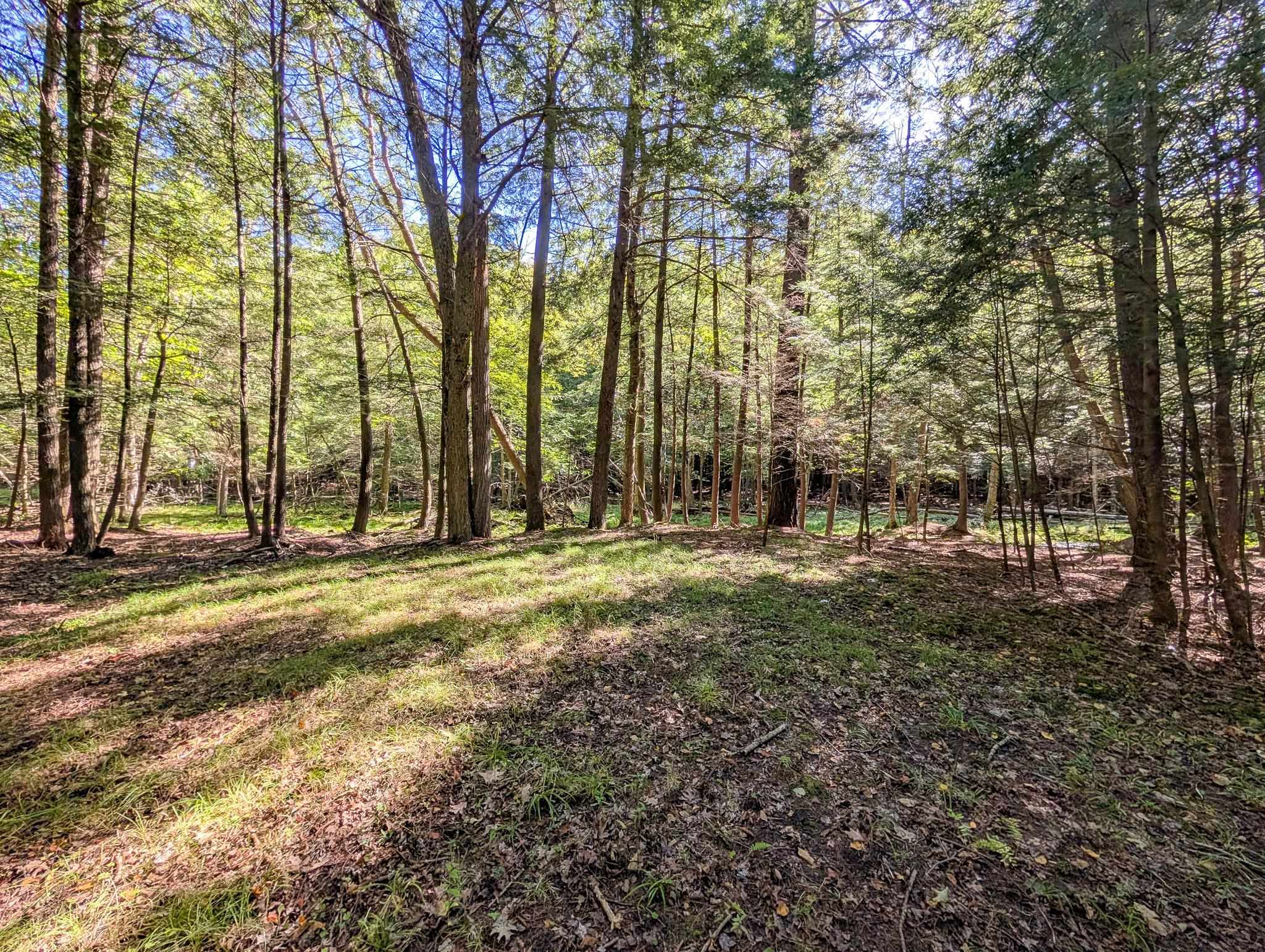 1115 W CASSIDY DRIVE, Wausau, Wisconsin 54401, ,Land,For Sale,1115 W CASSIDY DRIVE,22604650