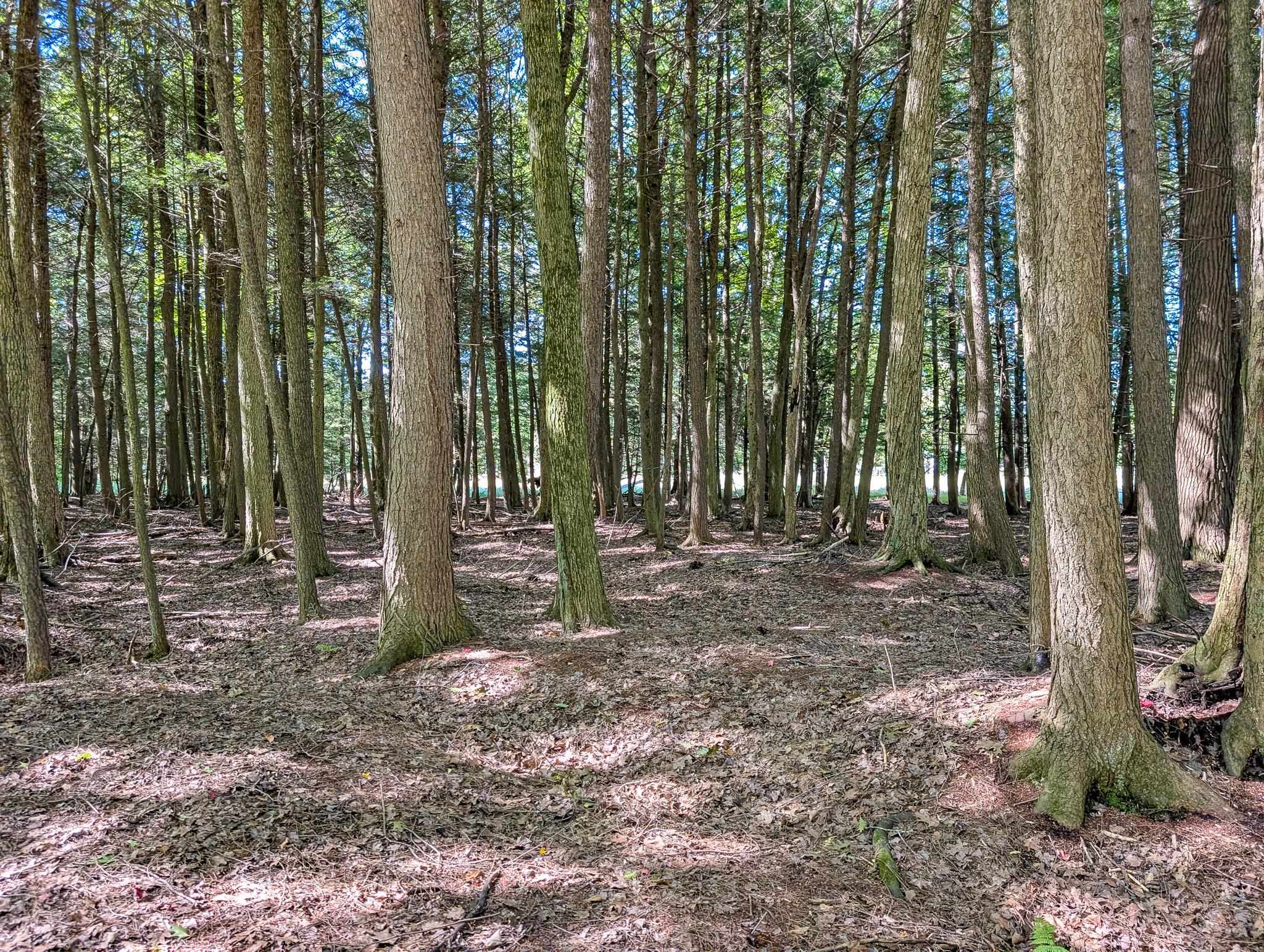 1115 W CASSIDY DRIVE, Wausau, Wisconsin 54401, ,Land,For Sale,1115 W CASSIDY DRIVE,22604650
