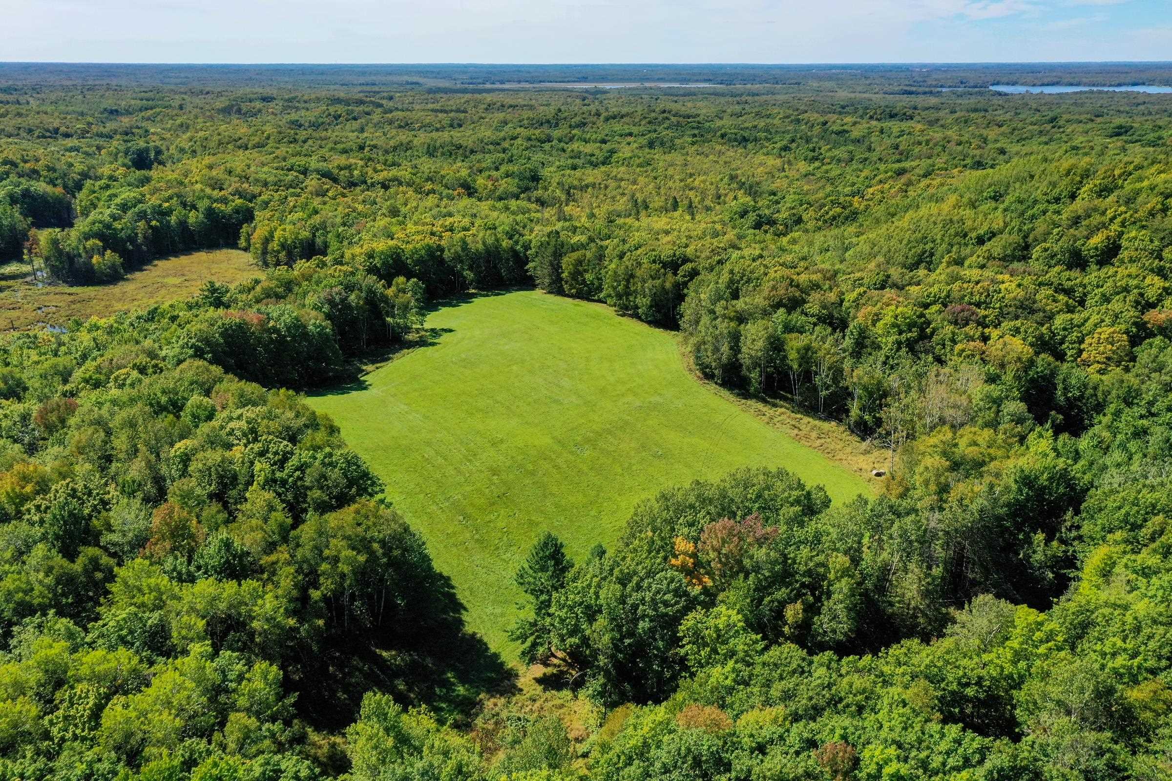 34.34 Acres BRUSH CREEK ROAD, Medford, Wisconsin 54451, ,Land,For Sale,34.34 Acres BRUSH CREEK ROAD,22604661