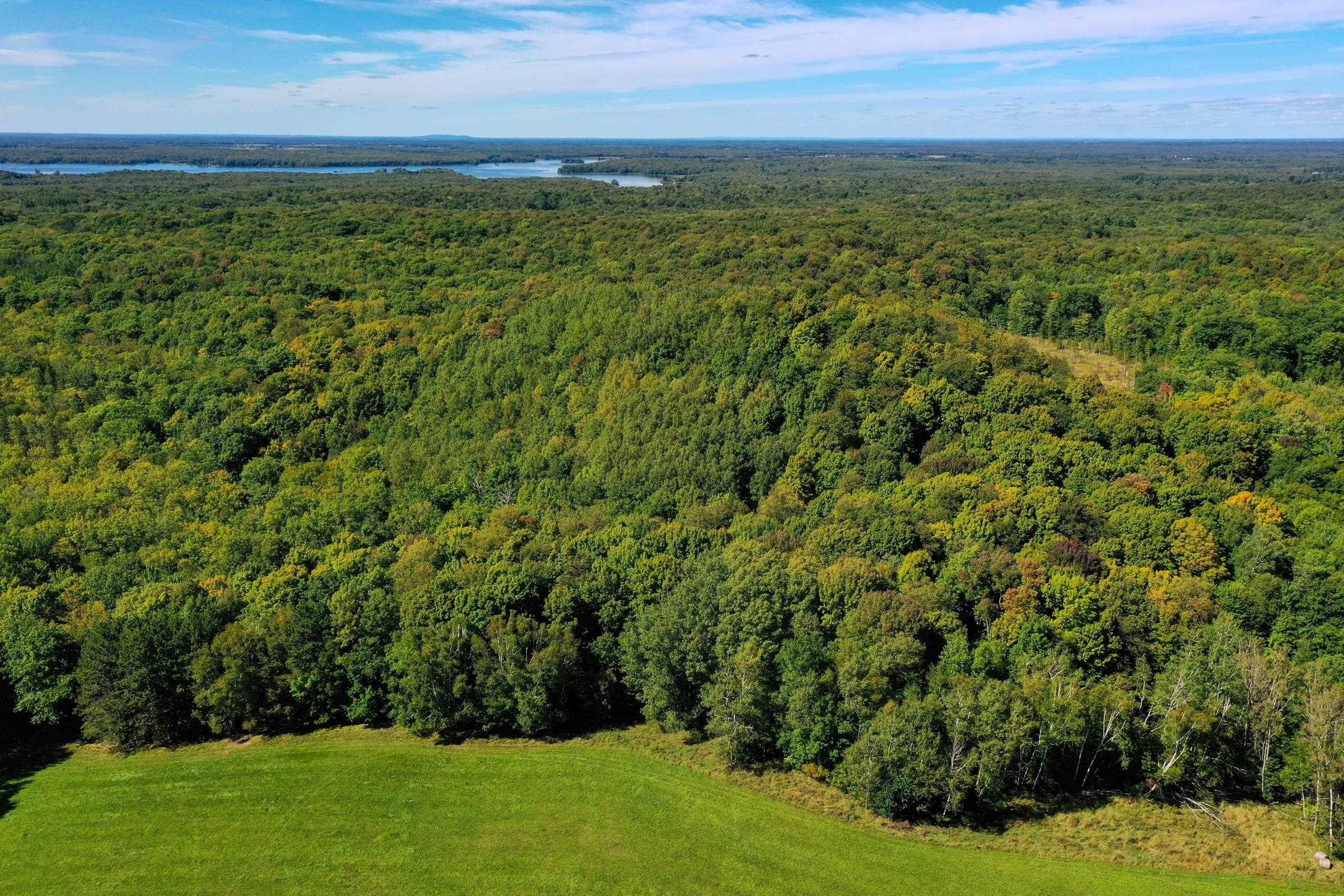34.34 Acres BRUSH CREEK ROAD, Medford, Wisconsin 54451, ,Land,For Sale,34.34 Acres BRUSH CREEK ROAD,22604661