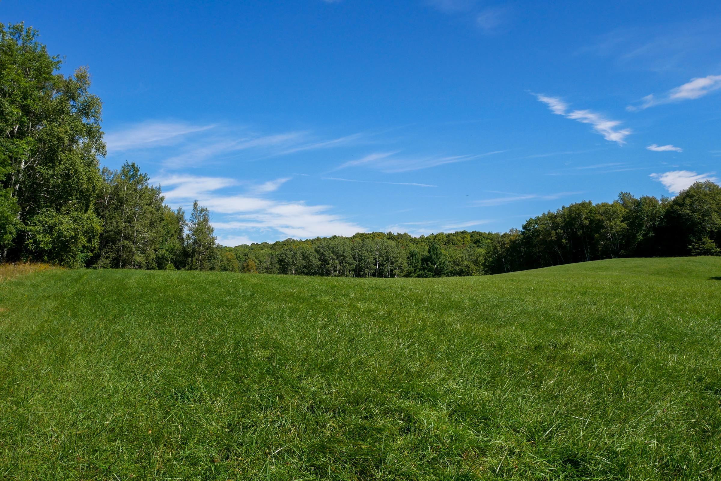34.34 Acres BRUSH CREEK ROAD, Medford, Wisconsin 54451, ,Land,For Sale,34.34 Acres BRUSH CREEK ROAD,22604661