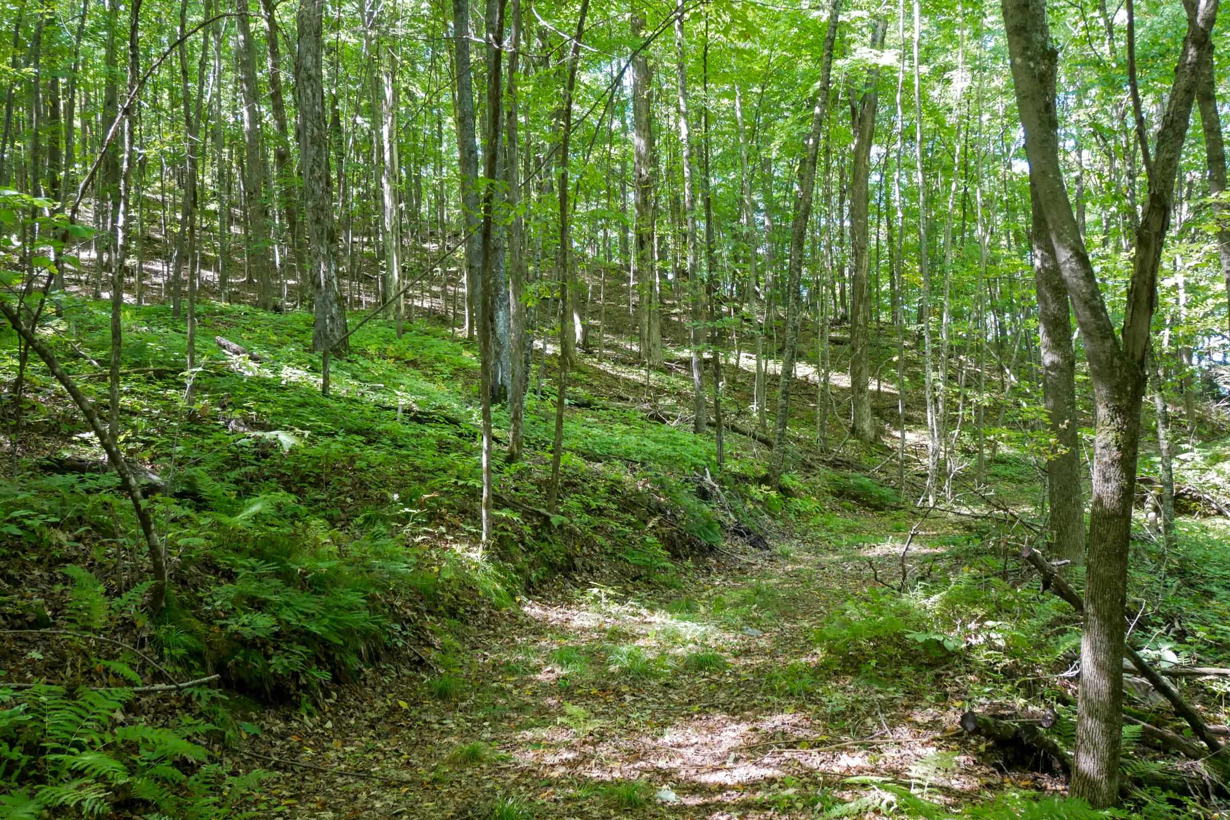 34.34 Acres BRUSH CREEK ROAD, Medford, Wisconsin 54451, ,Land,For Sale,34.34 Acres BRUSH CREEK ROAD,22604661