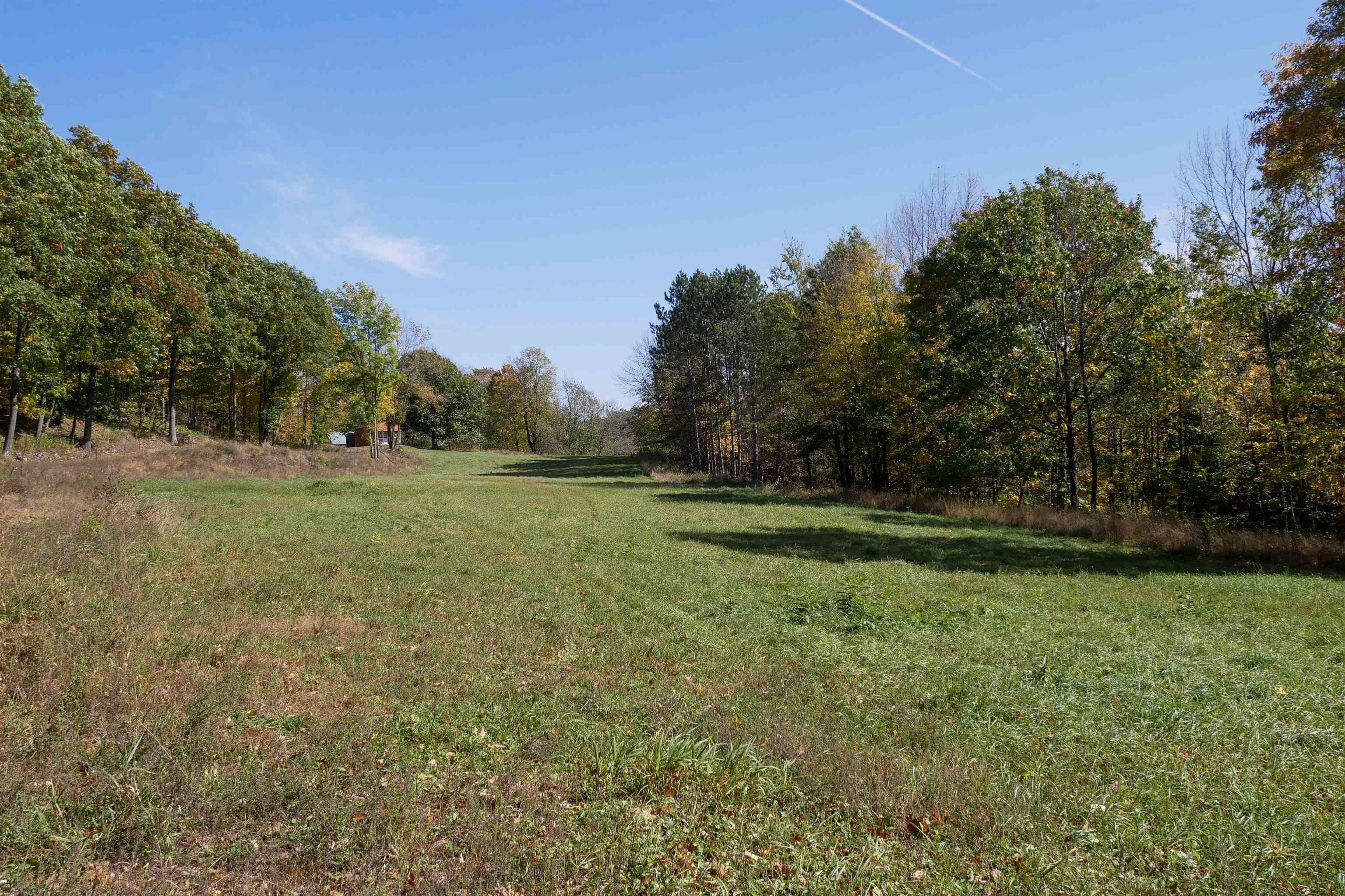 55.55 Acres BRUSH CREEK ROAD, Medford, Wisconsin 54451, ,Land,For Sale,55.55 Acres BRUSH CREEK ROAD,22604662
