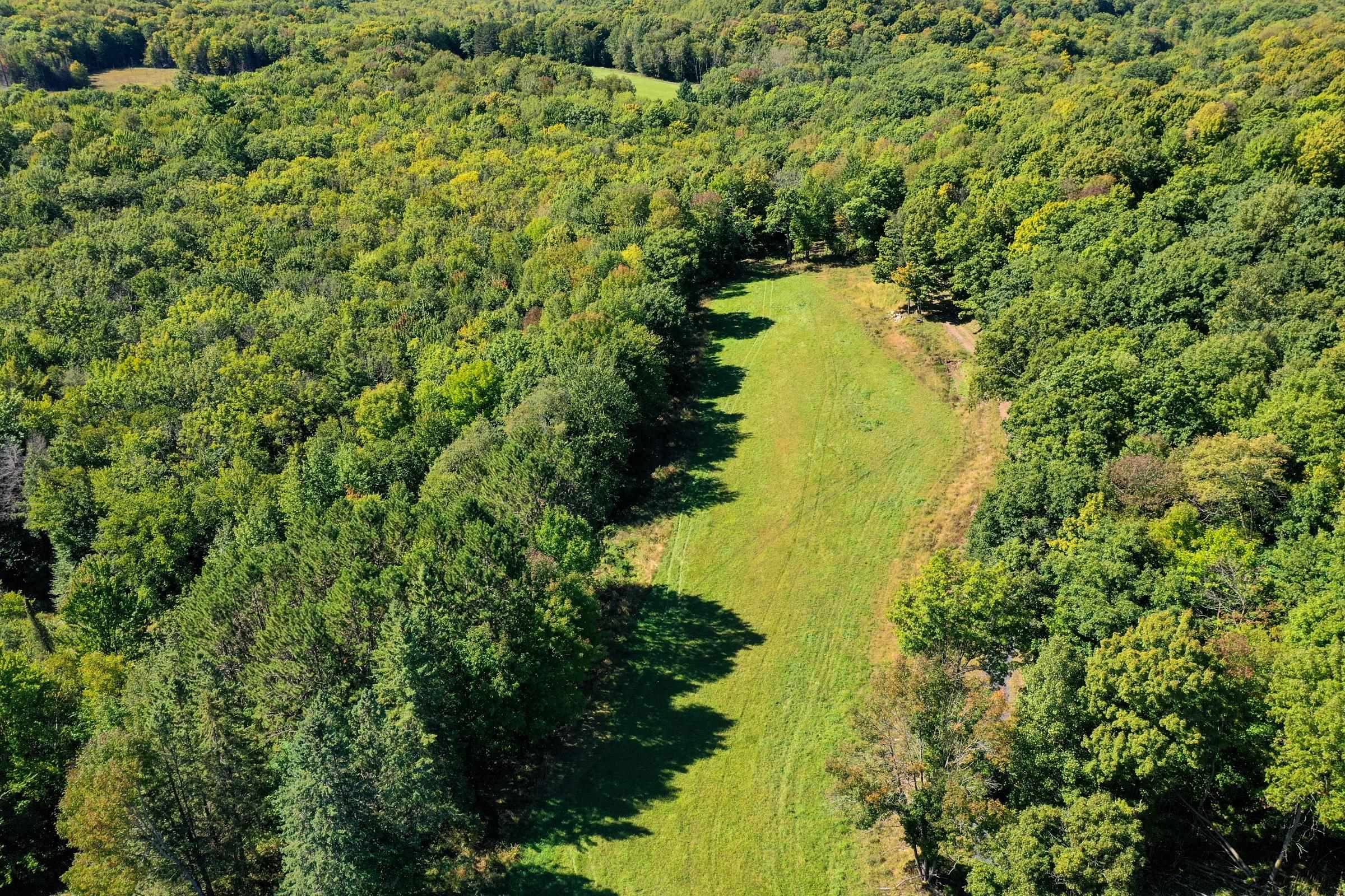 55.55 Acres BRUSH CREEK ROAD, Medford, Wisconsin 54451, ,Land,For Sale,55.55 Acres BRUSH CREEK ROAD,22604662