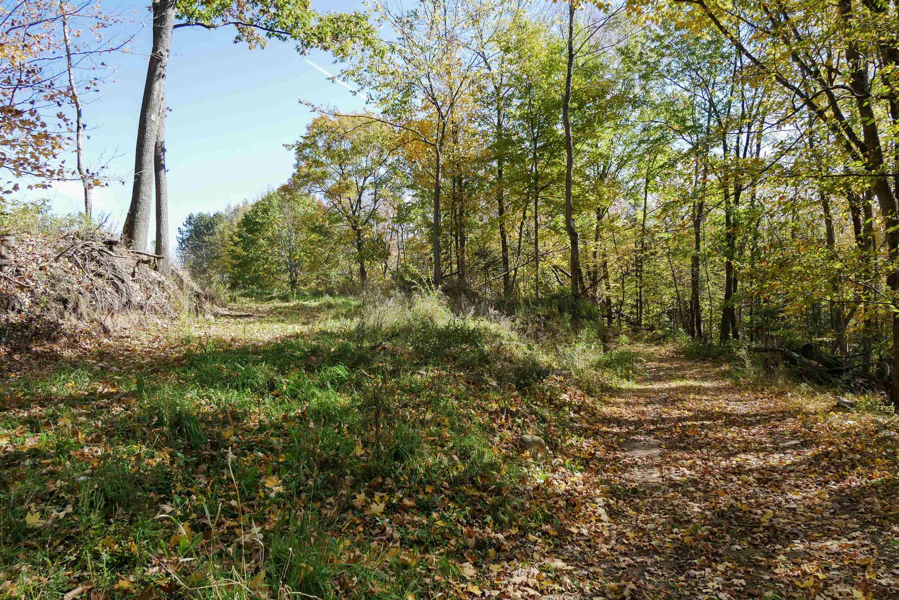 55.55 Acres BRUSH CREEK ROAD, Medford, Wisconsin 54451, ,Land,For Sale,55.55 Acres BRUSH CREEK ROAD,22604662