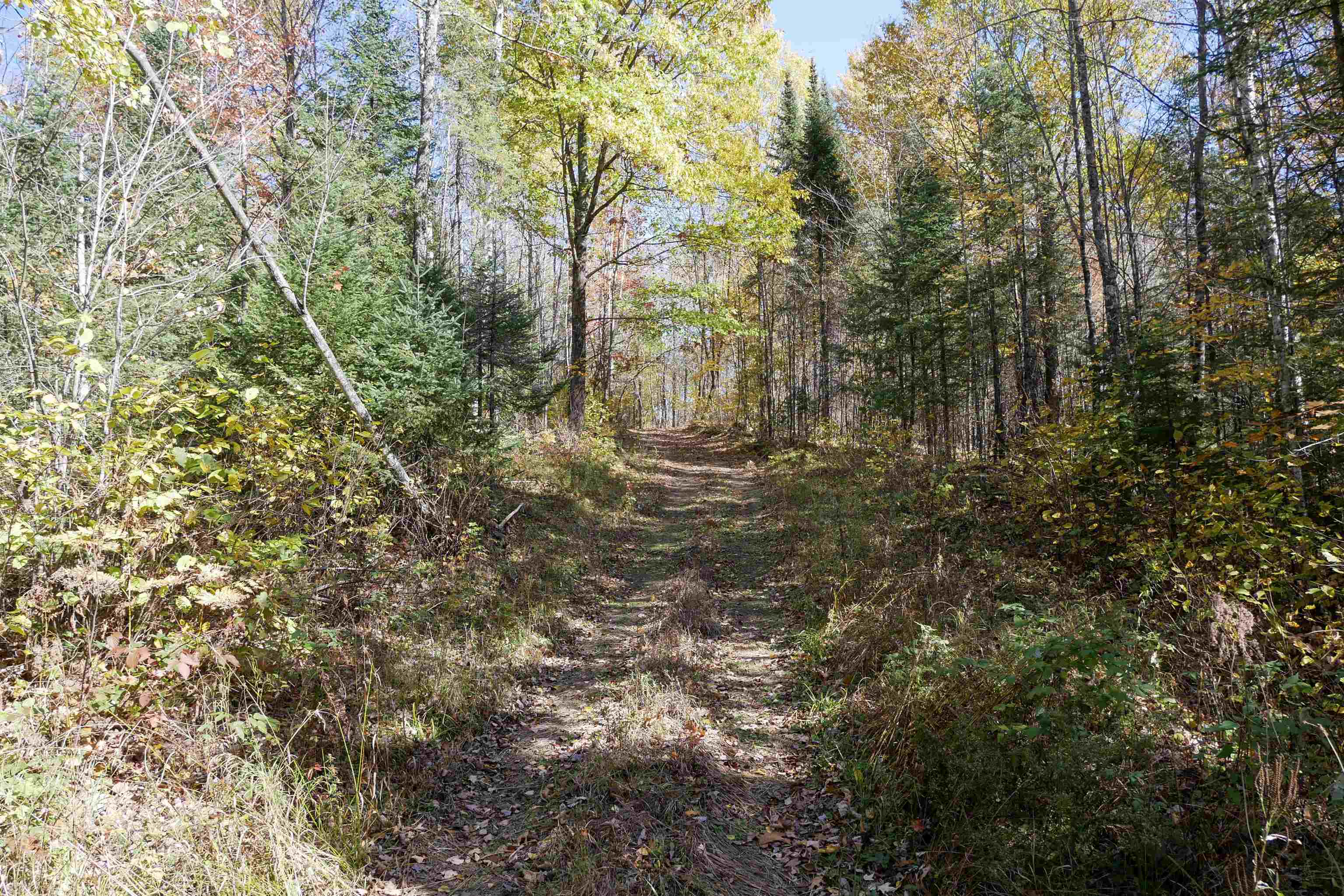 55.55 Acres BRUSH CREEK ROAD, Medford, Wisconsin 54451, ,Land,For Sale,55.55 Acres BRUSH CREEK ROAD,22604662