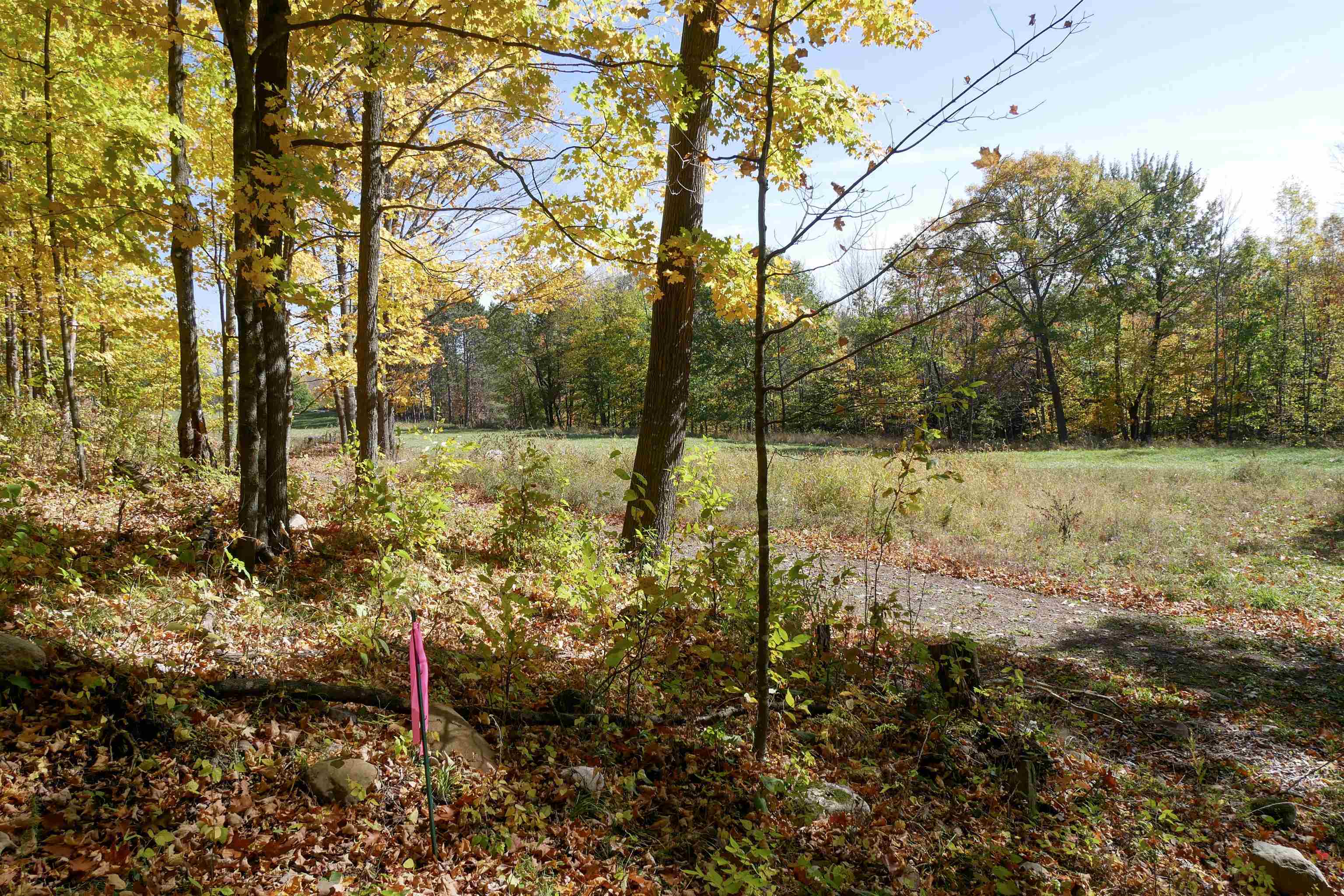 55.55 Acres BRUSH CREEK ROAD, Medford, Wisconsin 54451, ,Land,For Sale,55.55 Acres BRUSH CREEK ROAD,22604662
