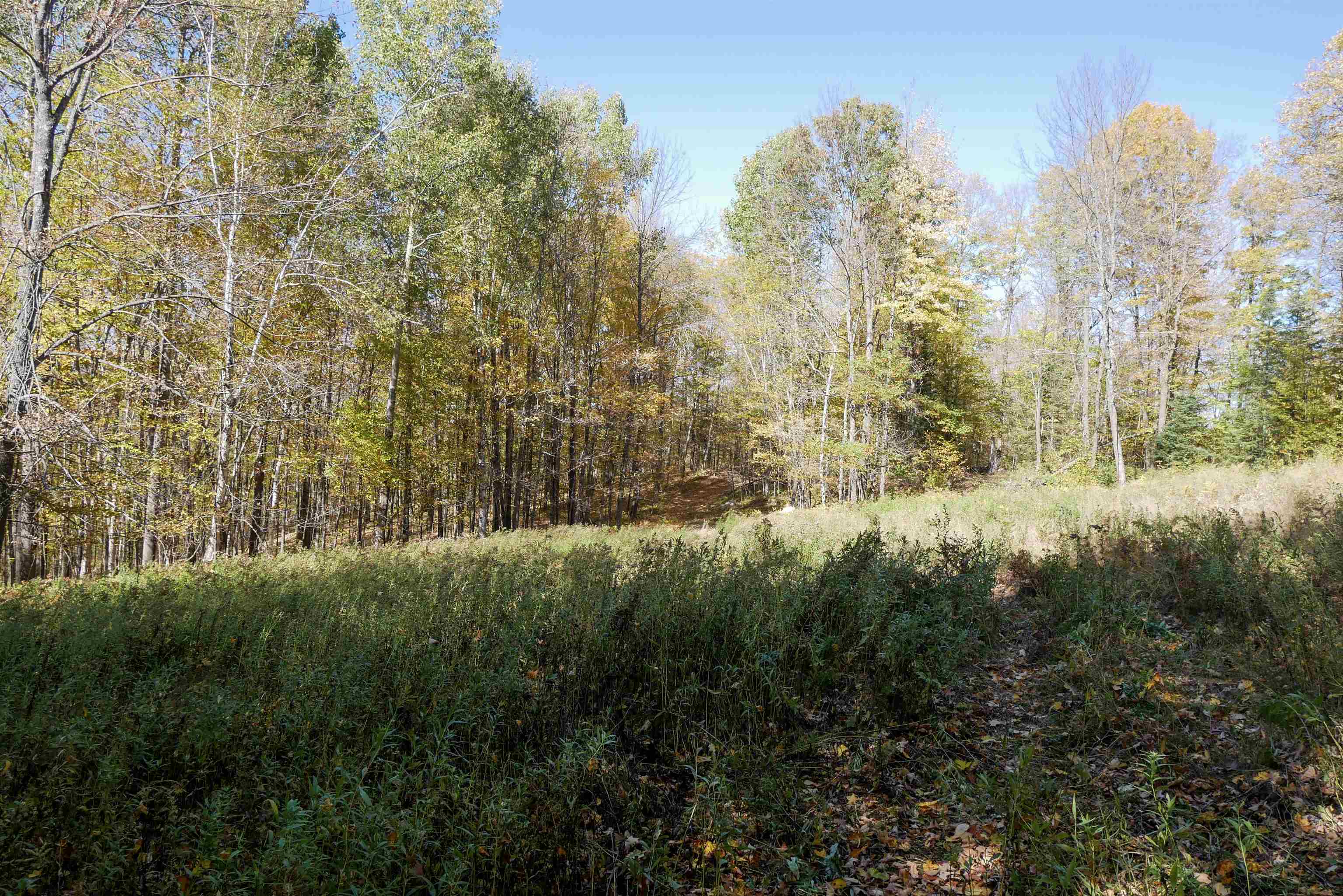 55.55 Acres BRUSH CREEK ROAD, Medford, Wisconsin 54451, ,Land,For Sale,55.55 Acres BRUSH CREEK ROAD,22604662