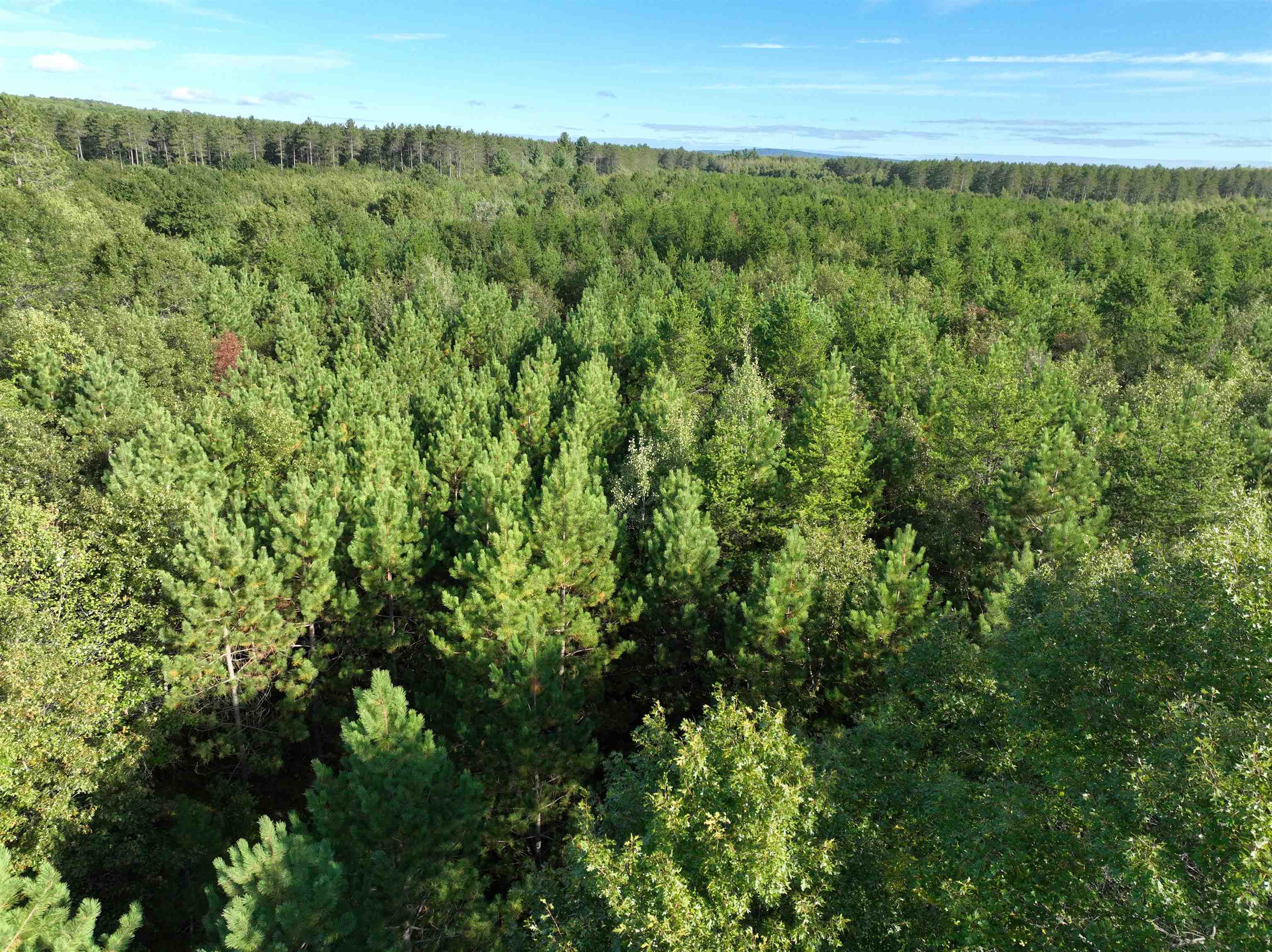 Lot 3 SCOUT ROAD, Mosinee, Wisconsin 54455, ,Land,For Sale,Lot 3 SCOUT ROAD,22604733