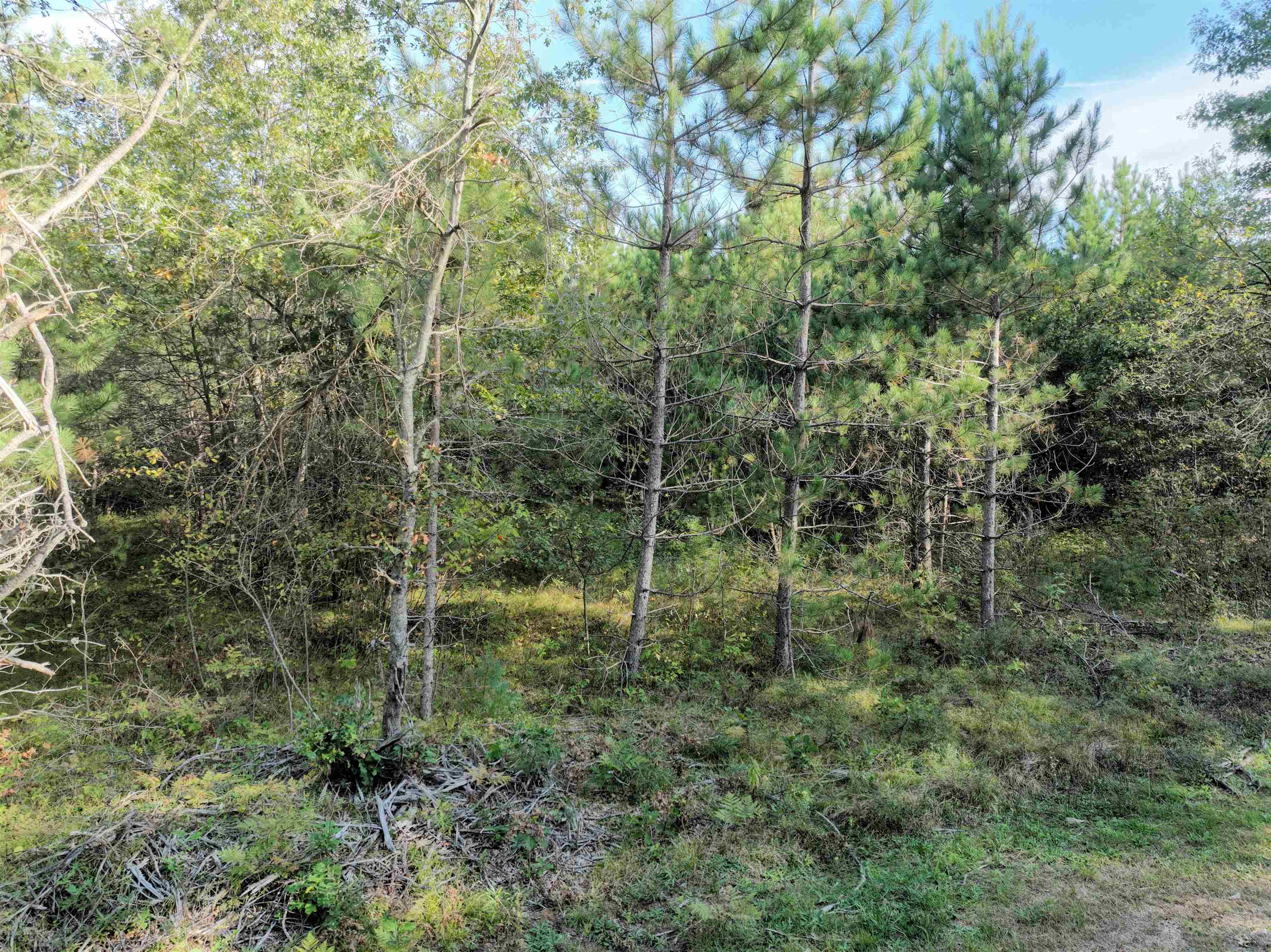 Lot 3 SCOUT ROAD, Mosinee, Wisconsin 54455, ,Land,For Sale,Lot 3 SCOUT ROAD,22604733