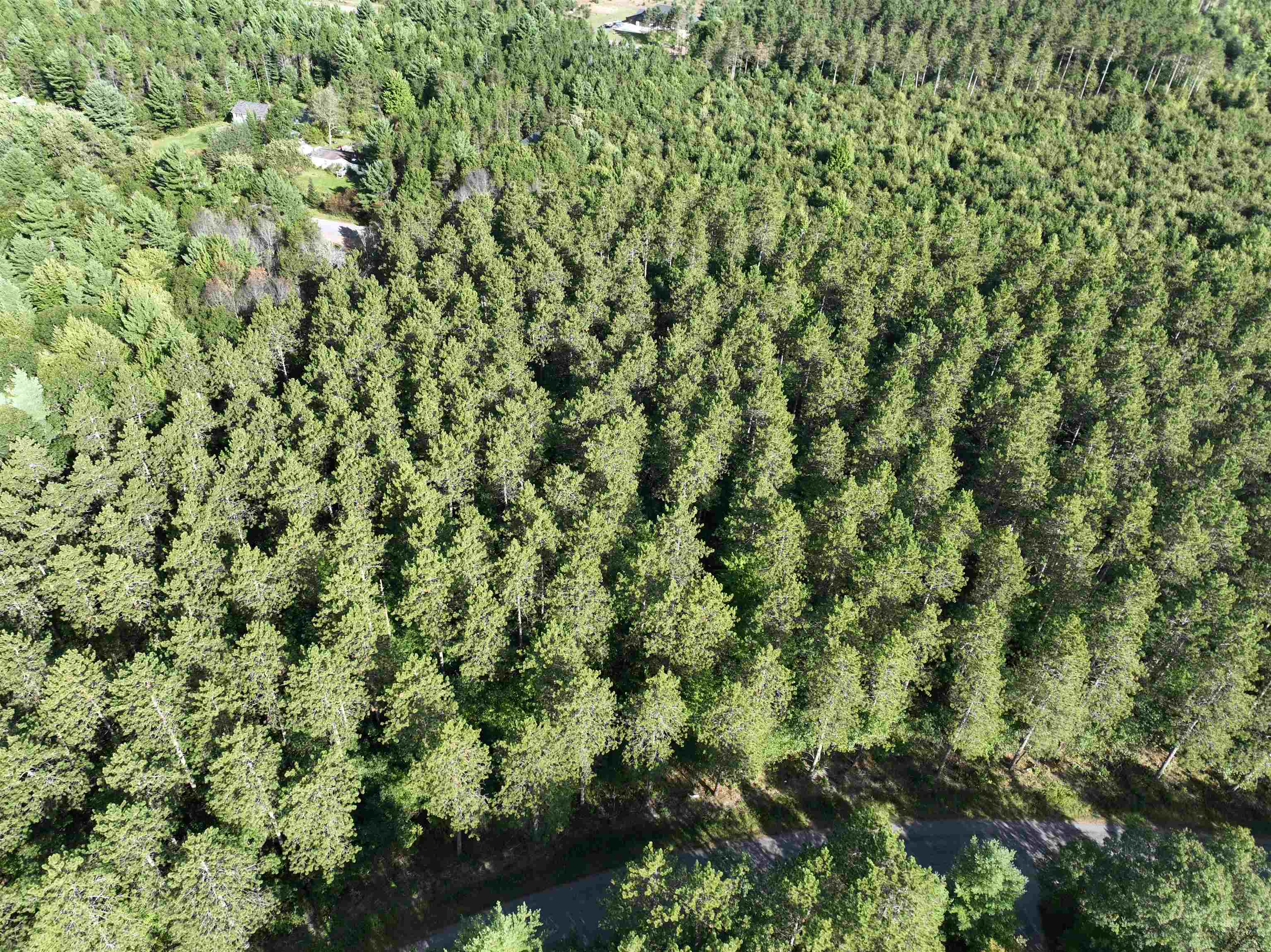Lot 6 SCOUT ROAD, Mosinee, Wisconsin 54455, ,Land,For Sale,Lot 6 SCOUT ROAD,22604737