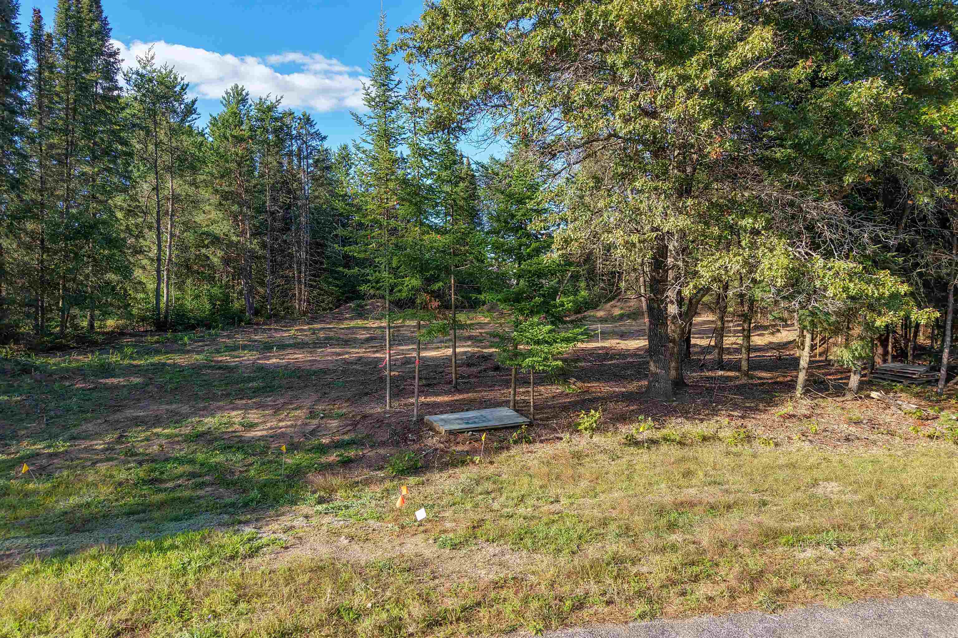Parcel # 070369 DEWBERRY LANE, Wisconsin Rapids, Wisconsin 54494, ,Land,For Sale,Parcel # 070369 DEWBERRY LANE,22604741