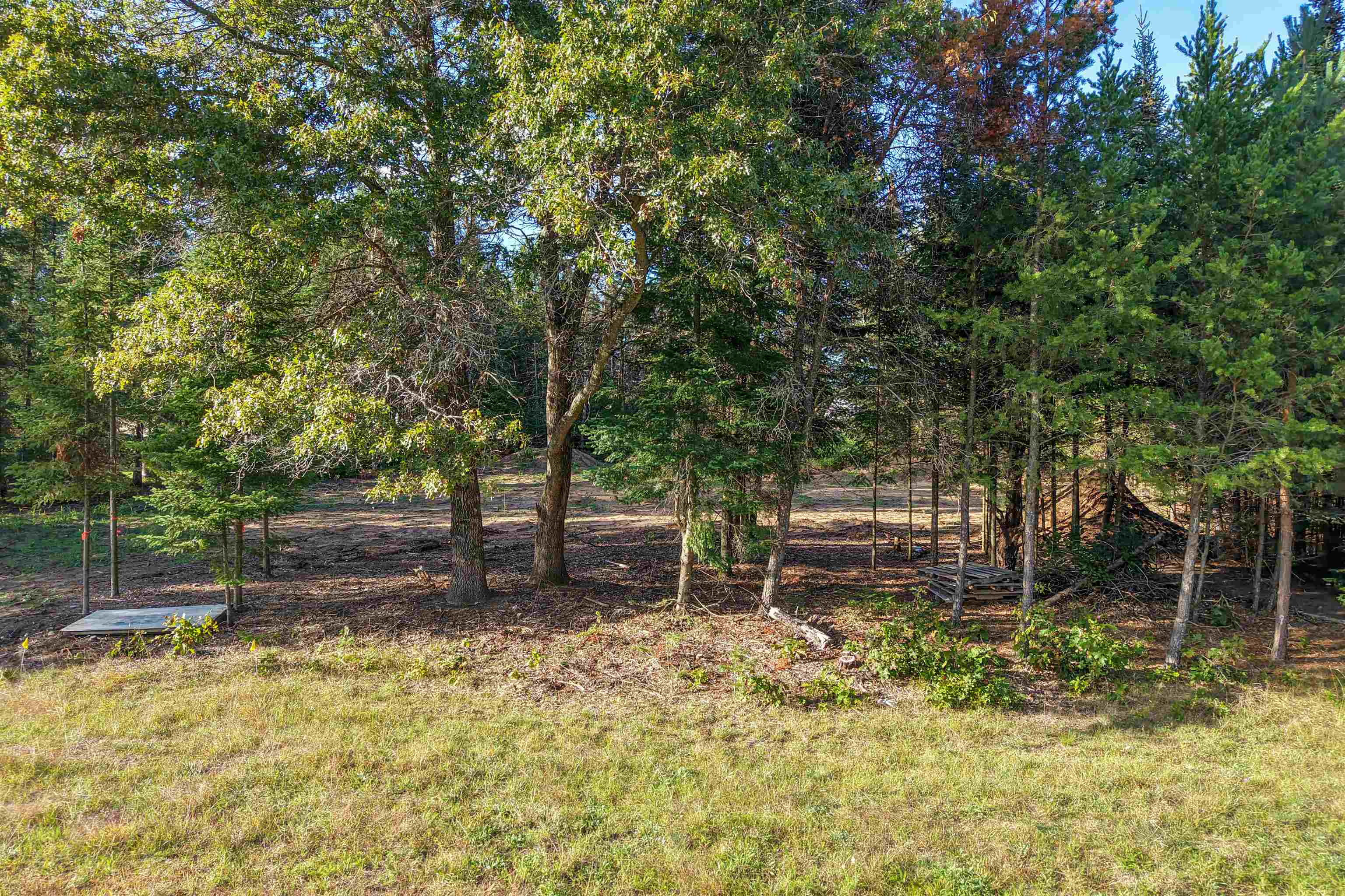 Parcel # 070369 DEWBERRY LANE, Wisconsin Rapids, Wisconsin 54494, ,Land,For Sale,Parcel # 070369 DEWBERRY LANE,22604741