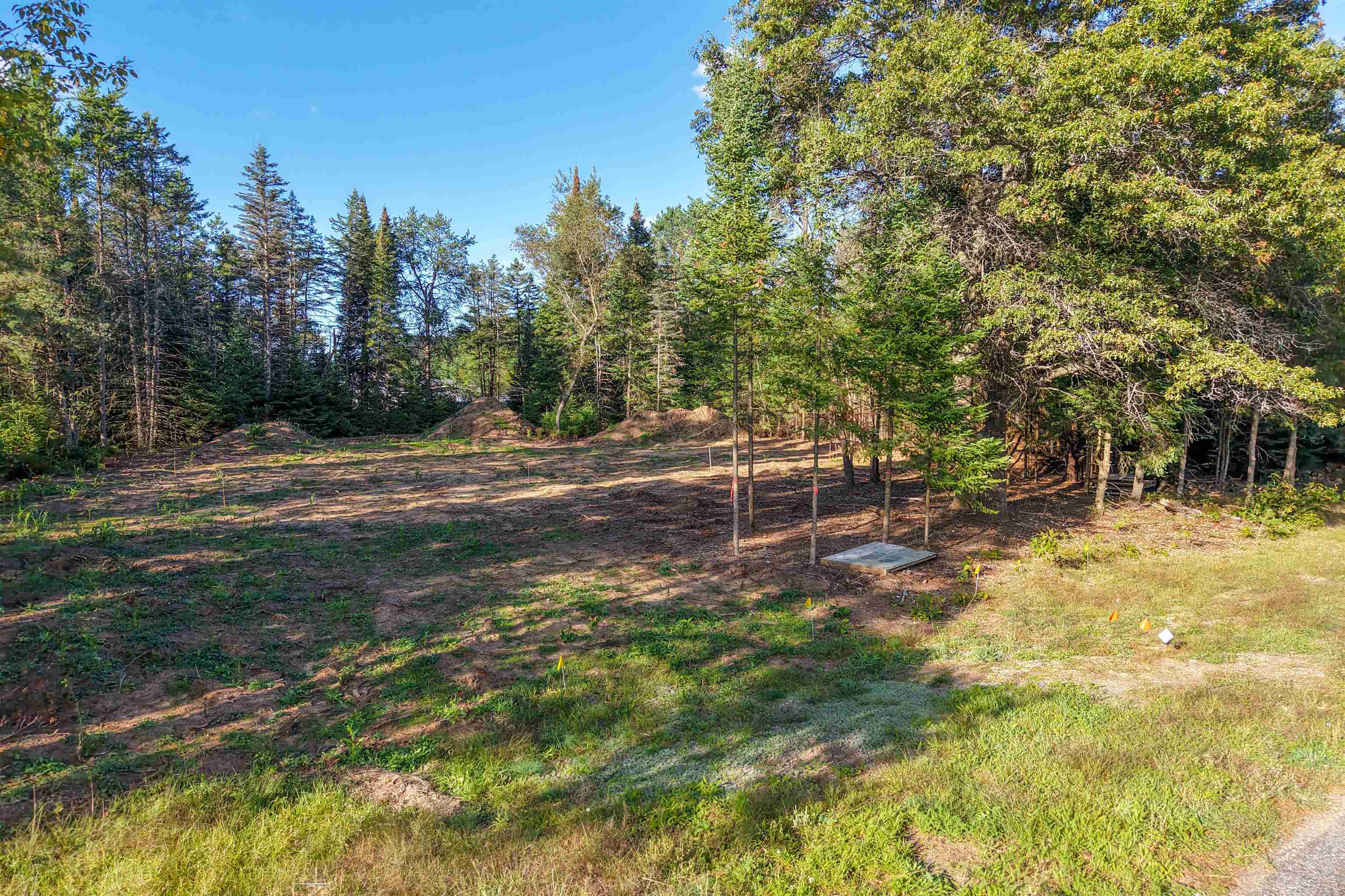 Parcel # 070369 DEWBERRY LANE, Wisconsin Rapids, Wisconsin 54494, ,Land,For Sale,Parcel # 070369 DEWBERRY LANE,22604741
