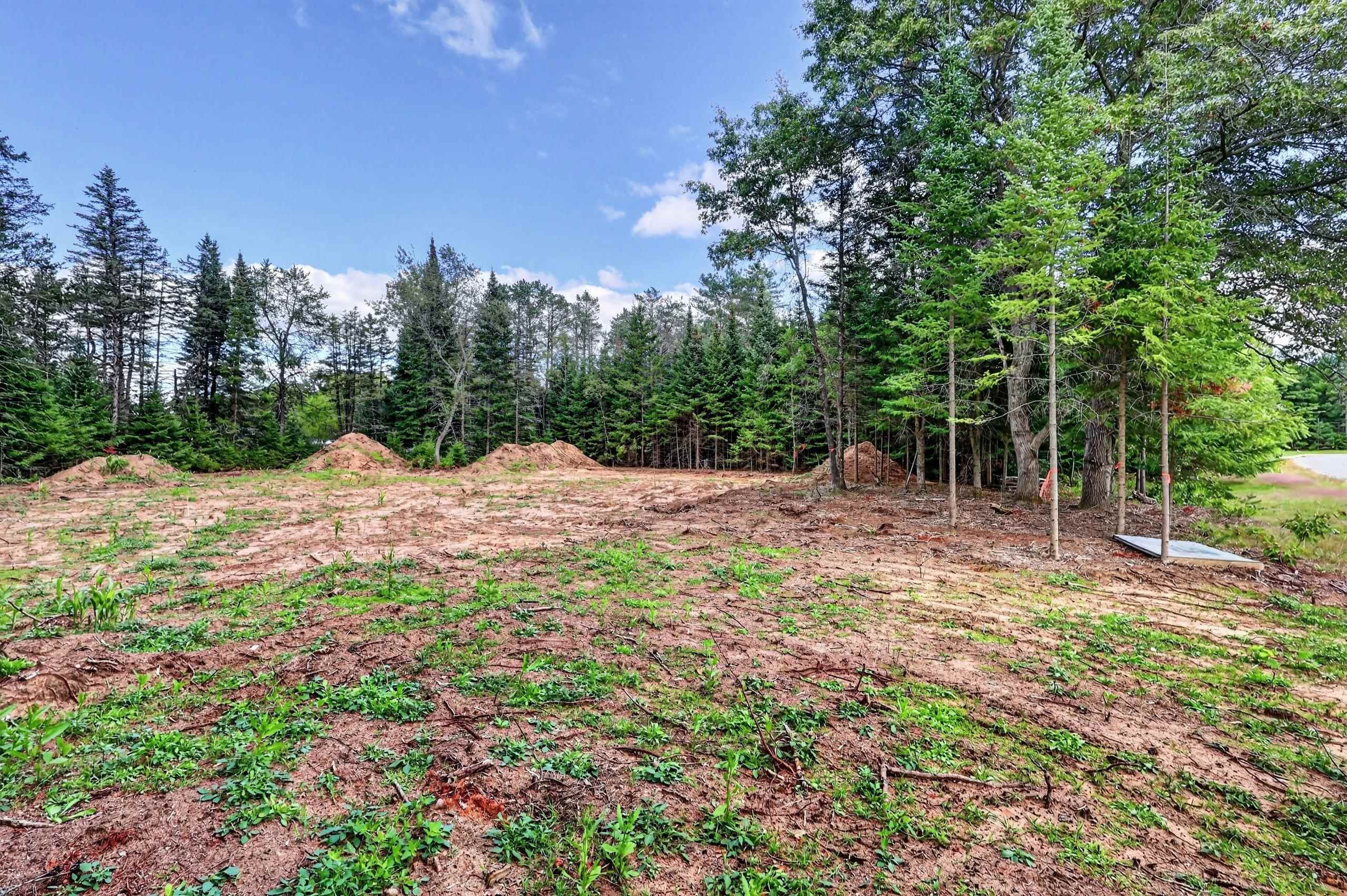 Parcel # 070369 DEWBERRY LANE, Wisconsin Rapids, Wisconsin 54494, ,Land,For Sale,Parcel # 070369 DEWBERRY LANE,22604741