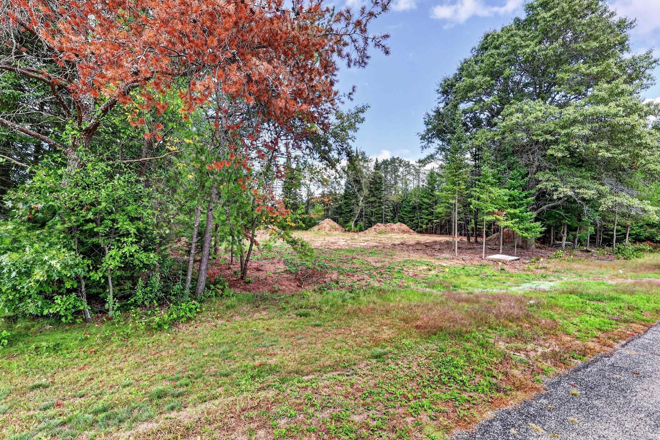 Parcel # 070369 DEWBERRY LANE, Wisconsin Rapids, Wisconsin 54494, ,Land,For Sale,Parcel # 070369 DEWBERRY LANE,22604741