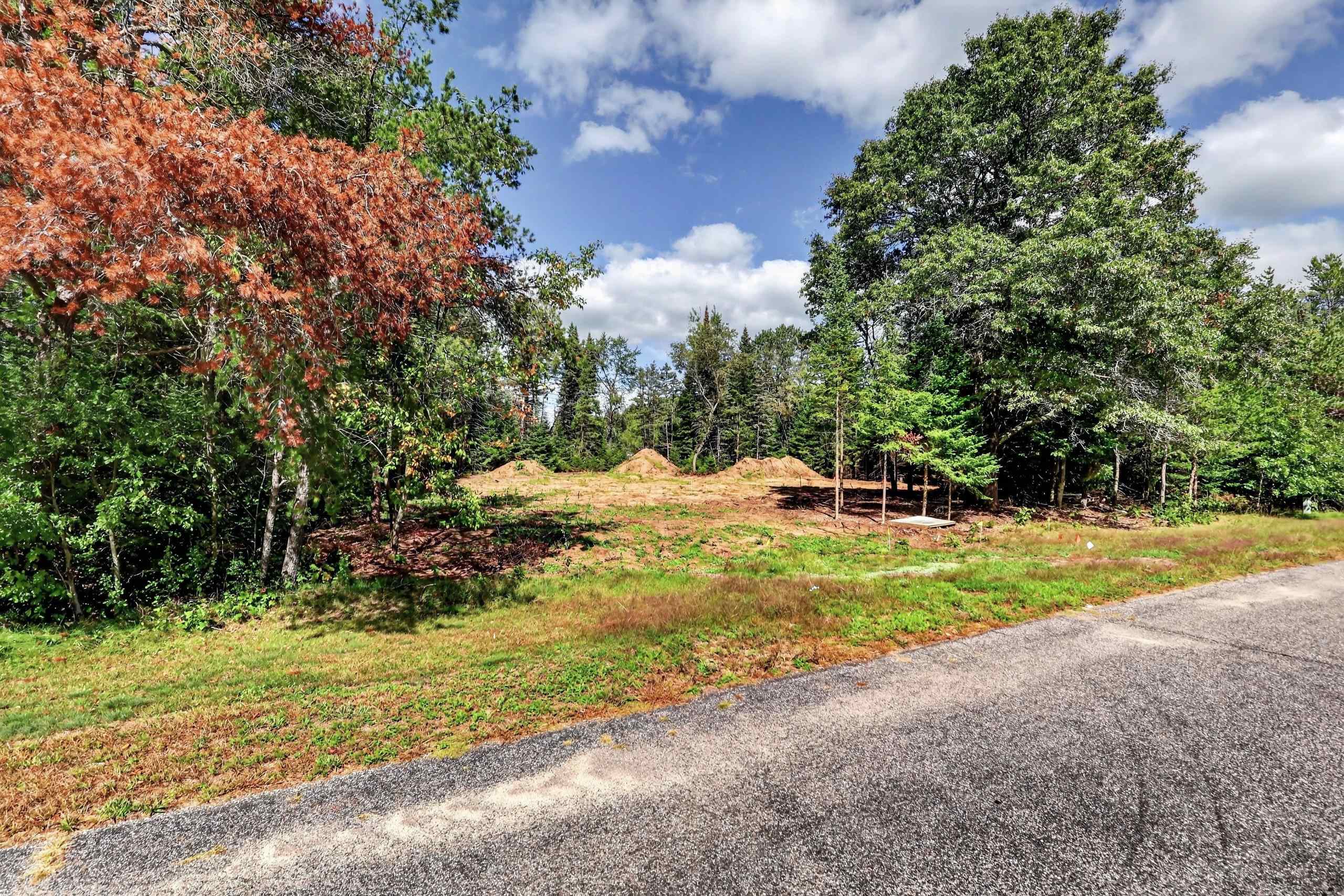 Parcel # 070369 DEWBERRY LANE, Wisconsin Rapids, Wisconsin 54494, ,Land,For Sale,Parcel # 070369 DEWBERRY LANE,22604741