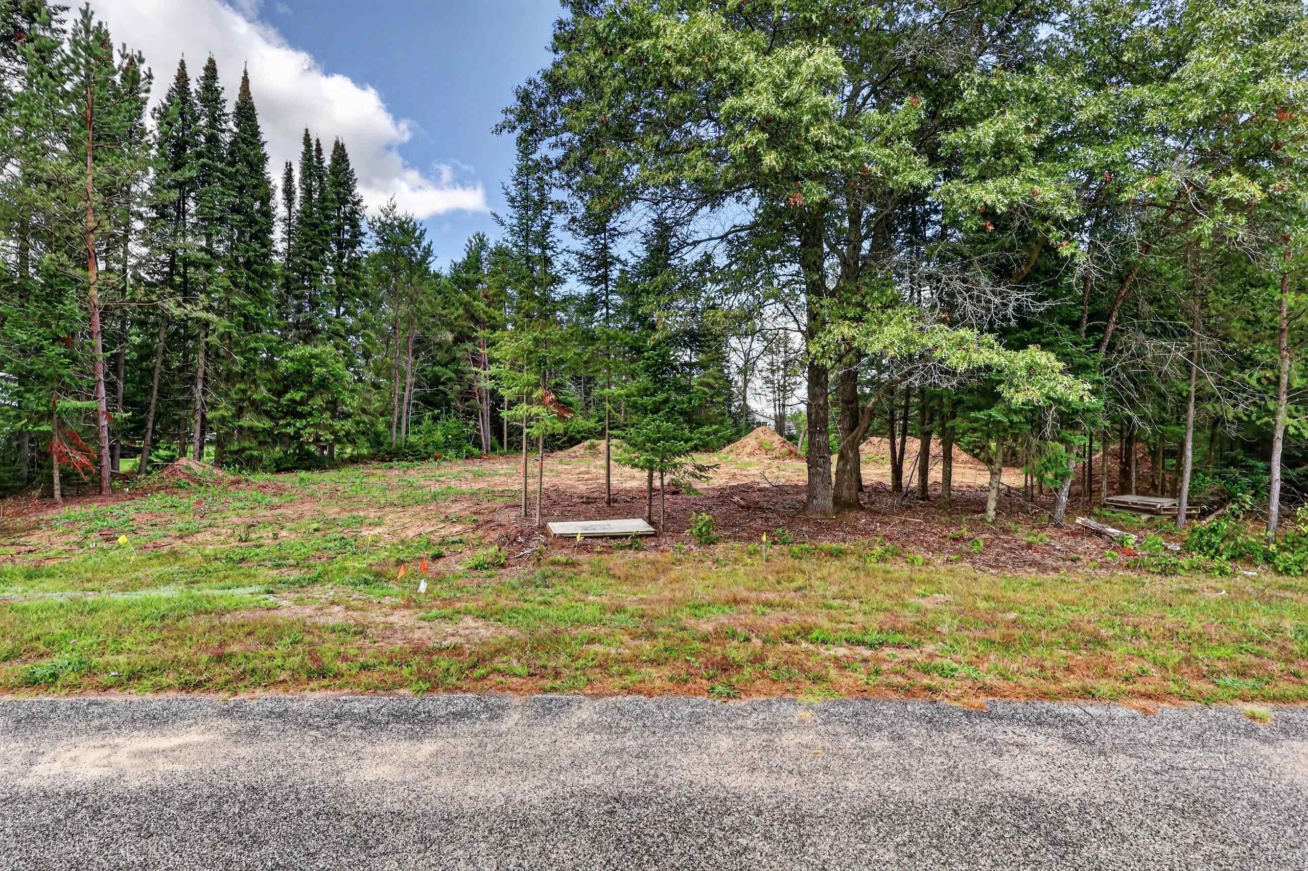 Parcel # 070369 DEWBERRY LANE, Wisconsin Rapids, Wisconsin 54494, ,Land,For Sale,Parcel # 070369 DEWBERRY LANE,22604741