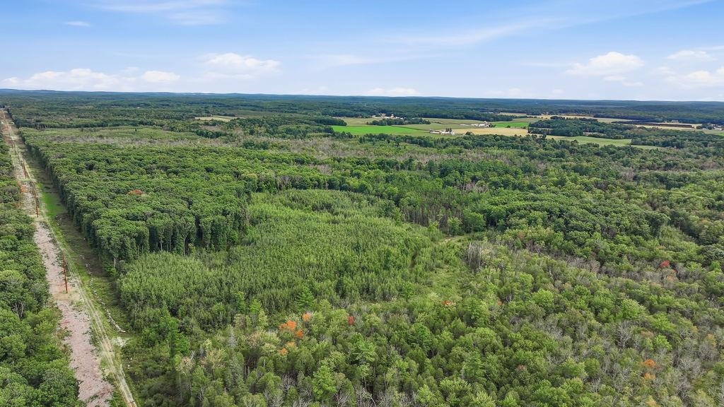 00 BEHNKE ROAD, Iola, Wisconsin 54945, ,Land,For Sale,00 BEHNKE ROAD,22604753