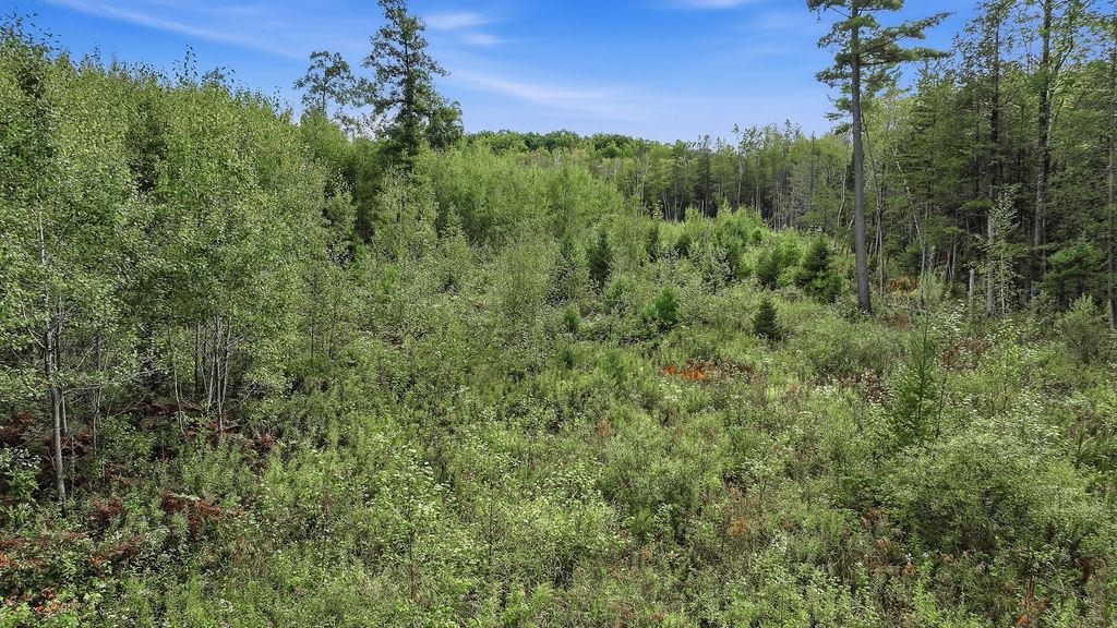 00 BEHNKE ROAD, Iola, Wisconsin 54945, ,Land,For Sale,00 BEHNKE ROAD,22604753