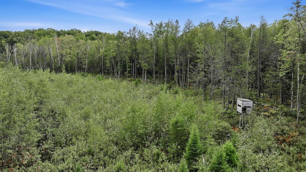 00 BEHNKE ROAD, Iola, Wisconsin 54945, ,Land,For Sale,00 BEHNKE ROAD,22604753