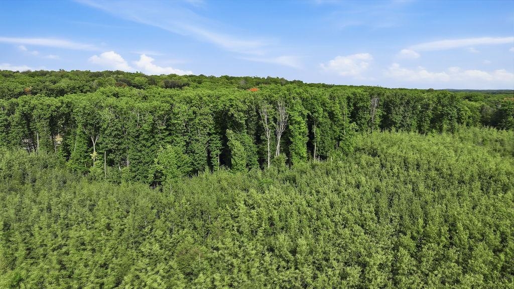 00 BEHNKE ROAD, Iola, Wisconsin 54945, ,Land,For Sale,00 BEHNKE ROAD,22604753