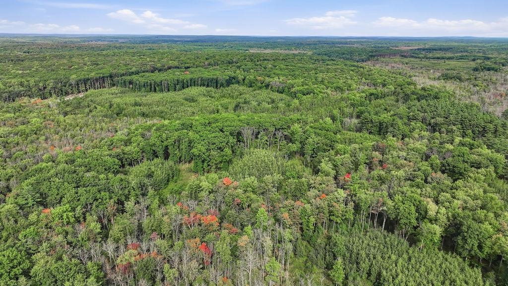 00 BEHNKE ROAD, Iola, Wisconsin 54945, ,Land,For Sale,00 BEHNKE ROAD,22604753