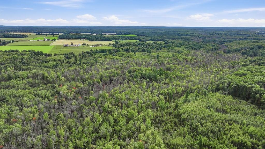 00 BEHNKE ROAD, Iola, Wisconsin 54945, ,Land,For Sale,00 BEHNKE ROAD,22604753