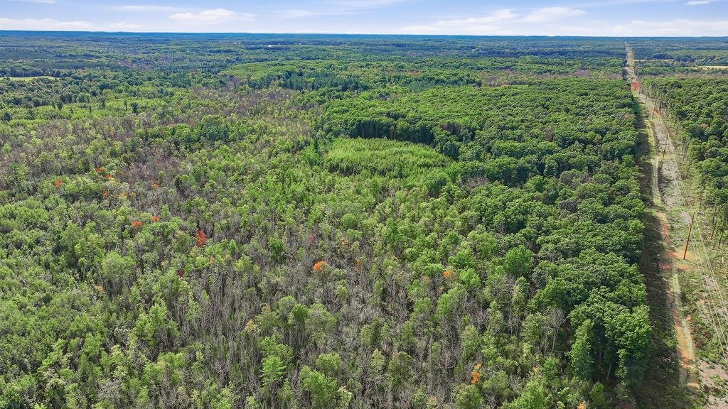 00 BEHNKE ROAD, Iola, Wisconsin 54945, ,Land,For Sale,00 BEHNKE ROAD,22604753