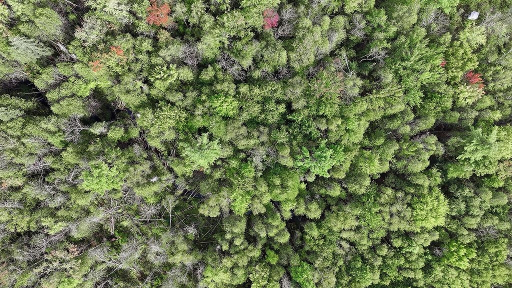 00 BEHNKE ROAD, Iola, Wisconsin 54945, ,Land,For Sale,00 BEHNKE ROAD,22604753