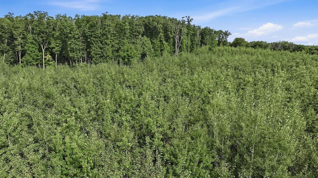 00 BEHNKE ROAD, Iola, Wisconsin 54945, ,Land,For Sale,00 BEHNKE ROAD,22604753