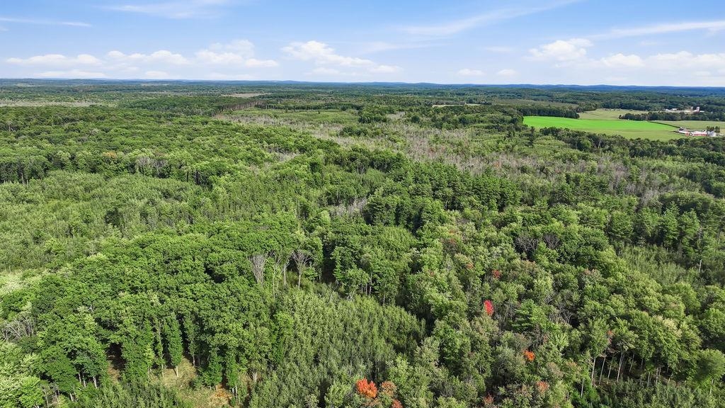 00 BEHNKE ROAD, Iola, Wisconsin 54945, ,Land,For Sale,00 BEHNKE ROAD,22604753