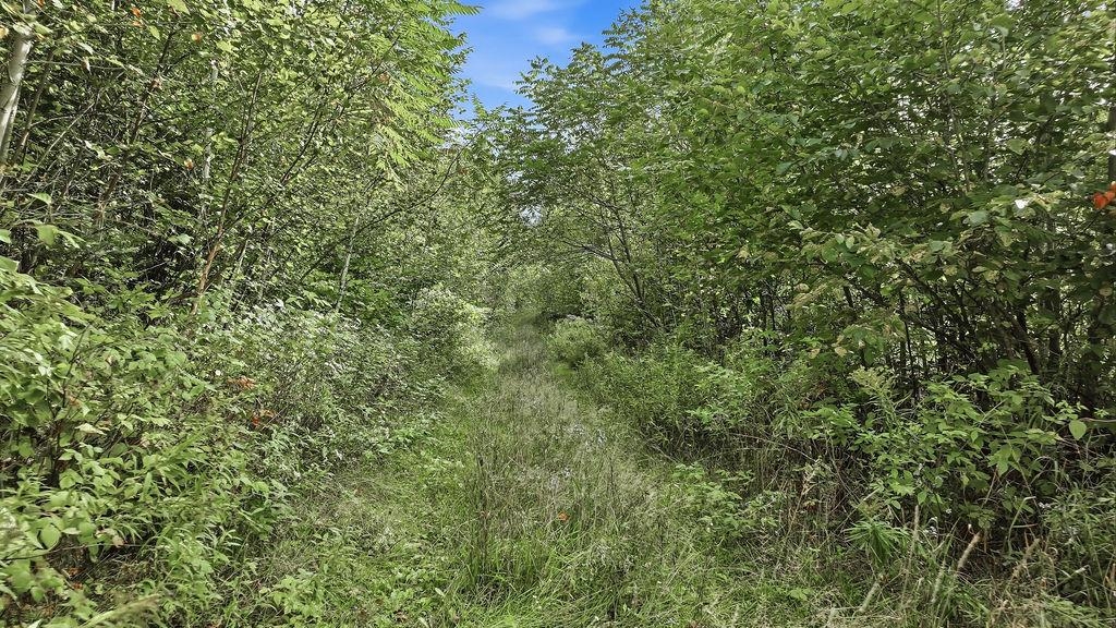 00 BEHNKE ROAD, Iola, Wisconsin 54945, ,Land,For Sale,00 BEHNKE ROAD,22604753