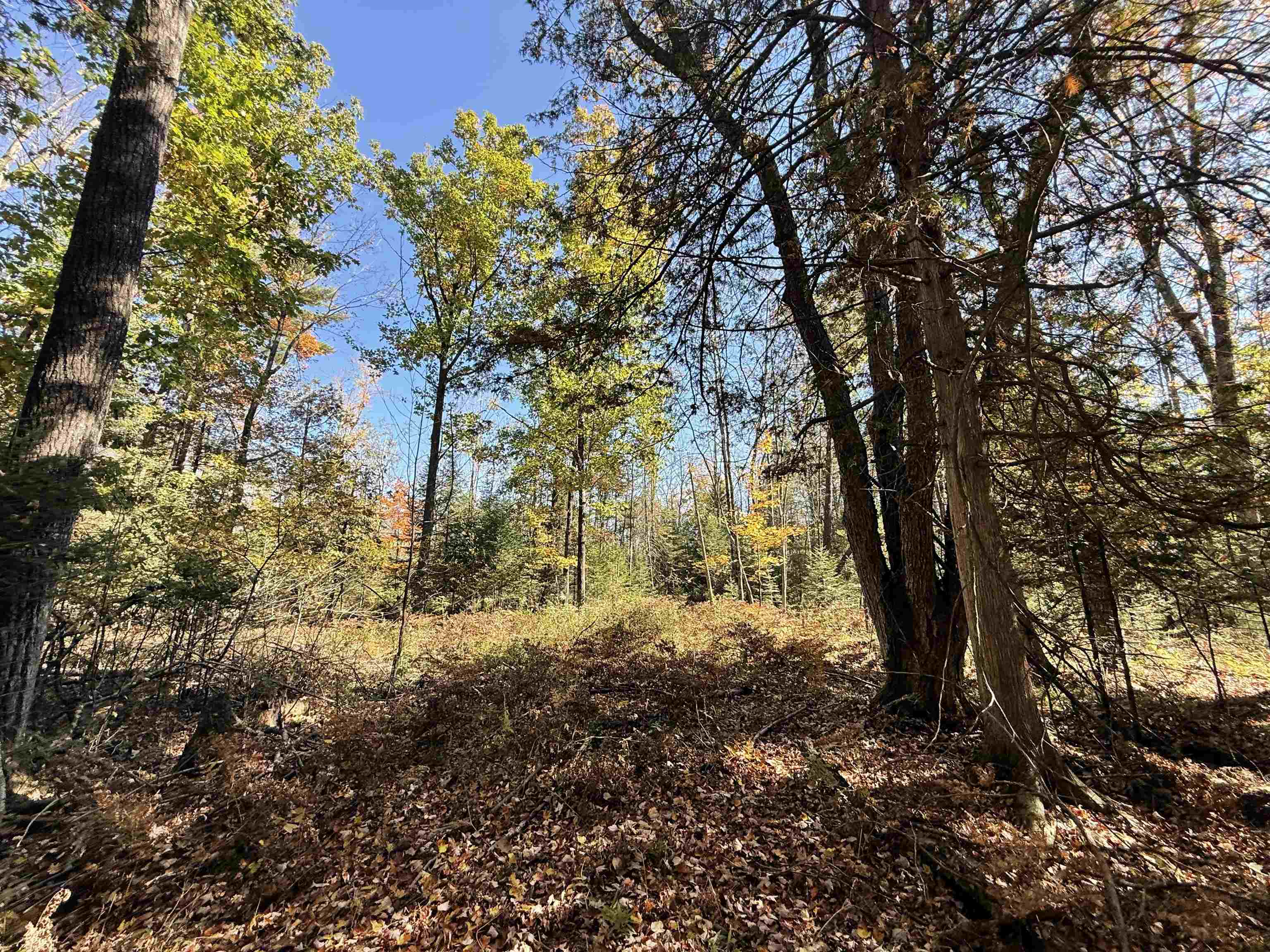 00 BEHNKE ROAD, Iola, Wisconsin 54945, ,Land,For Sale,00 BEHNKE ROAD,22604753