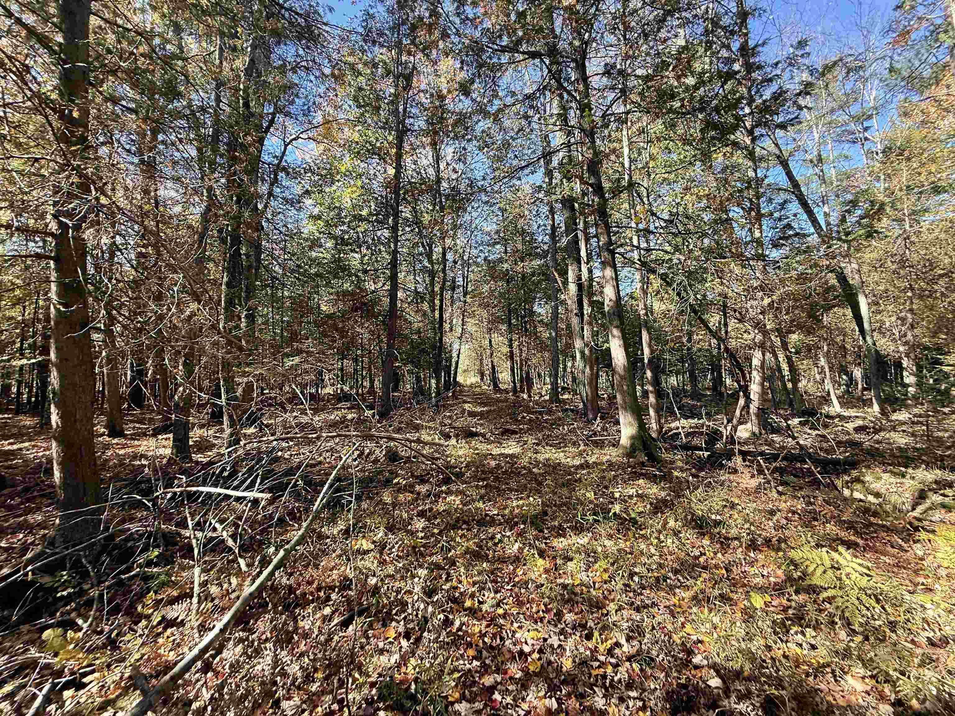 00 BEHNKE ROAD, Iola, Wisconsin 54945, ,Land,For Sale,00 BEHNKE ROAD,22604753