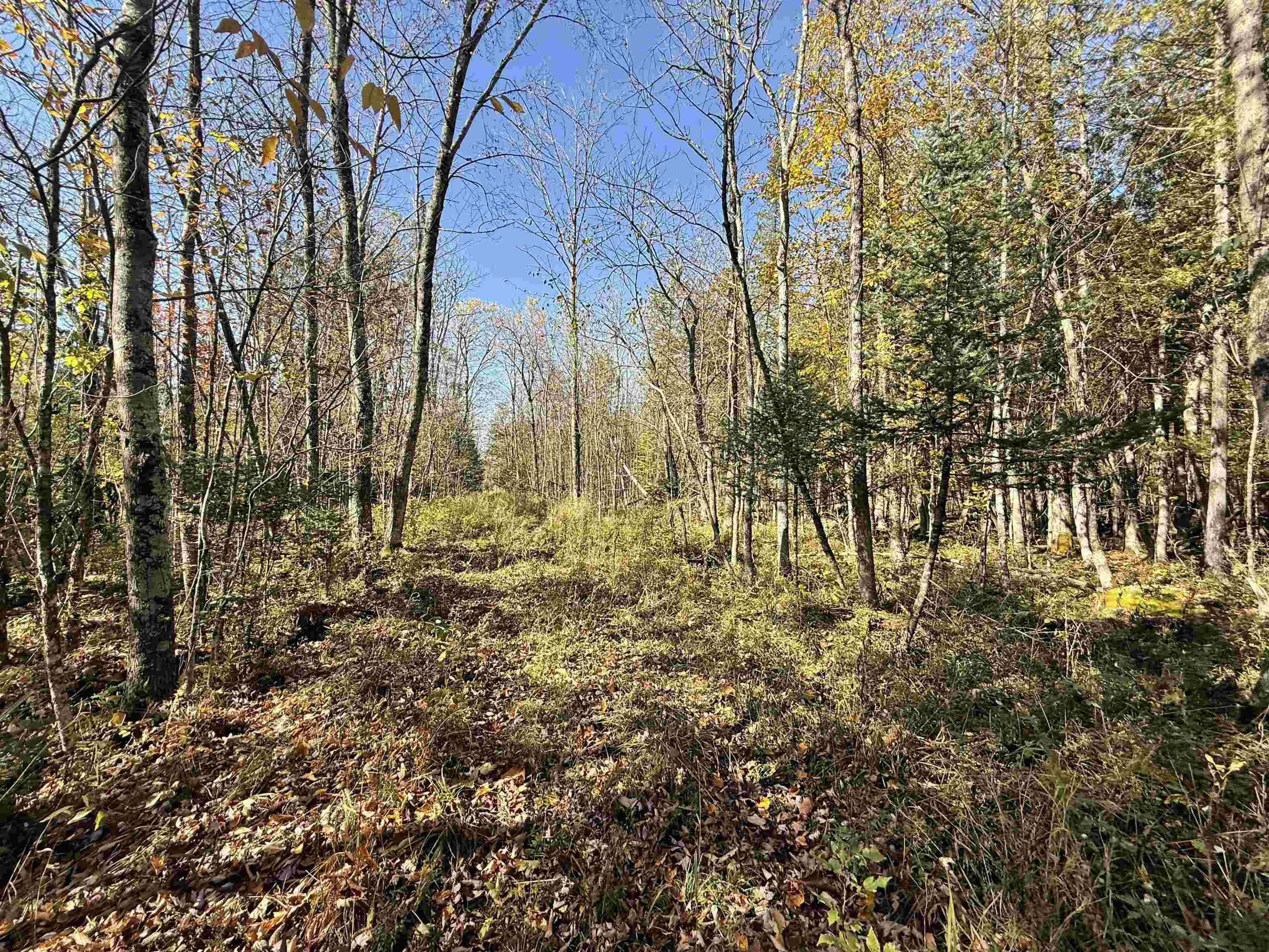 00 BEHNKE ROAD, Iola, Wisconsin 54945, ,Land,For Sale,00 BEHNKE ROAD,22604753
