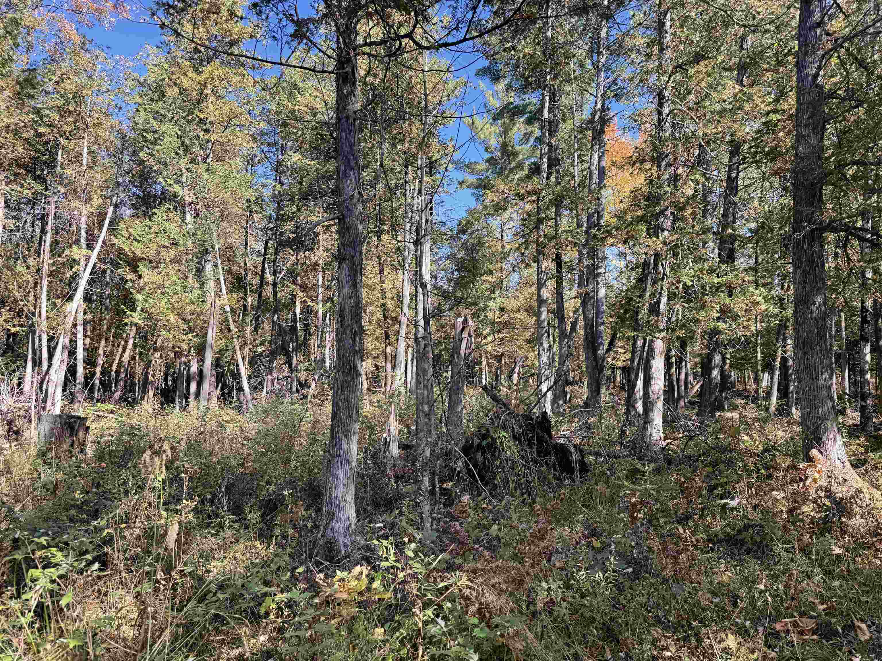 00 BEHNKE ROAD, Iola, Wisconsin 54945, ,Land,For Sale,00 BEHNKE ROAD,22604753