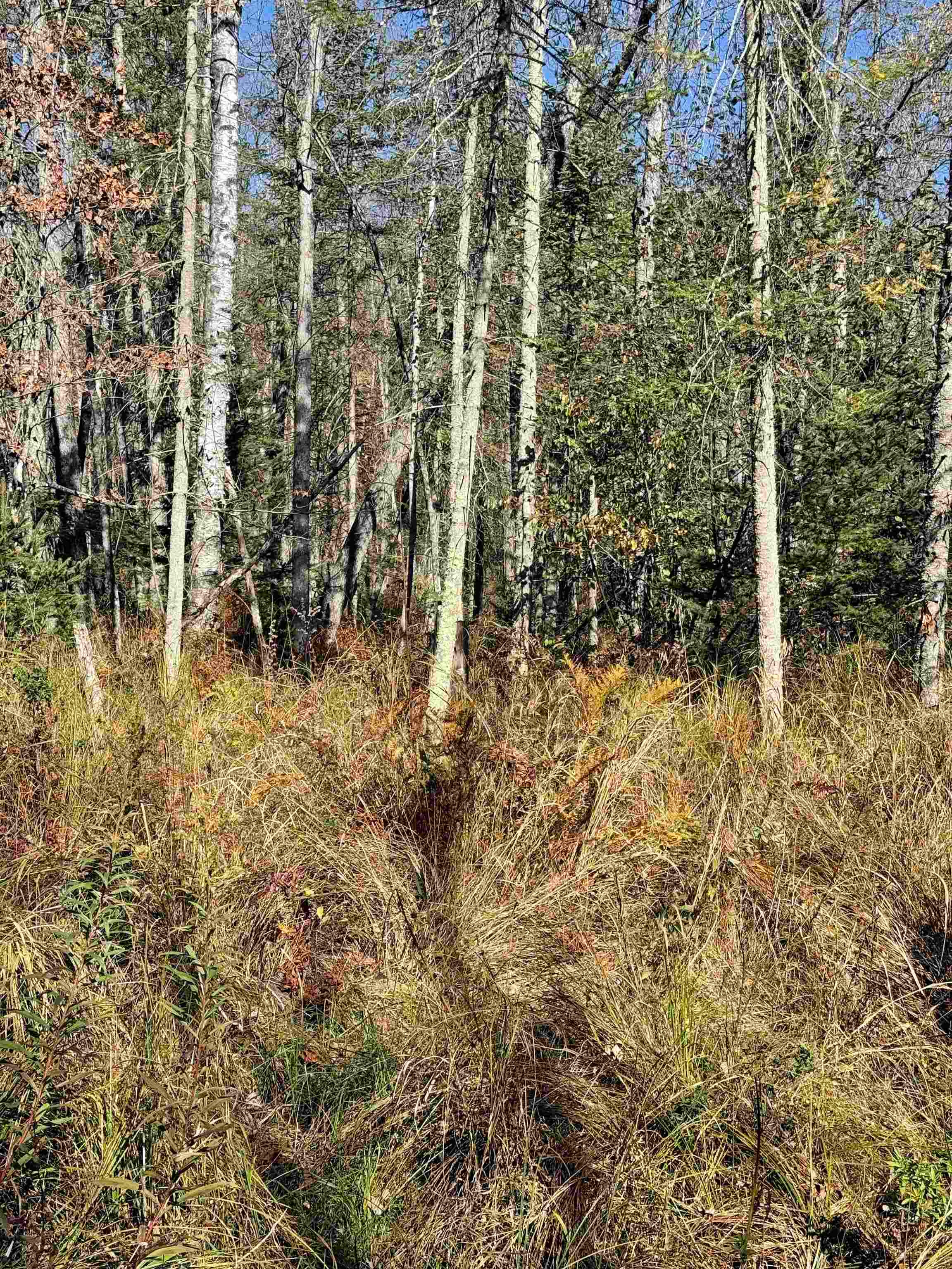 00 BEHNKE ROAD, Iola, Wisconsin 54945, ,Land,For Sale,00 BEHNKE ROAD,22604753