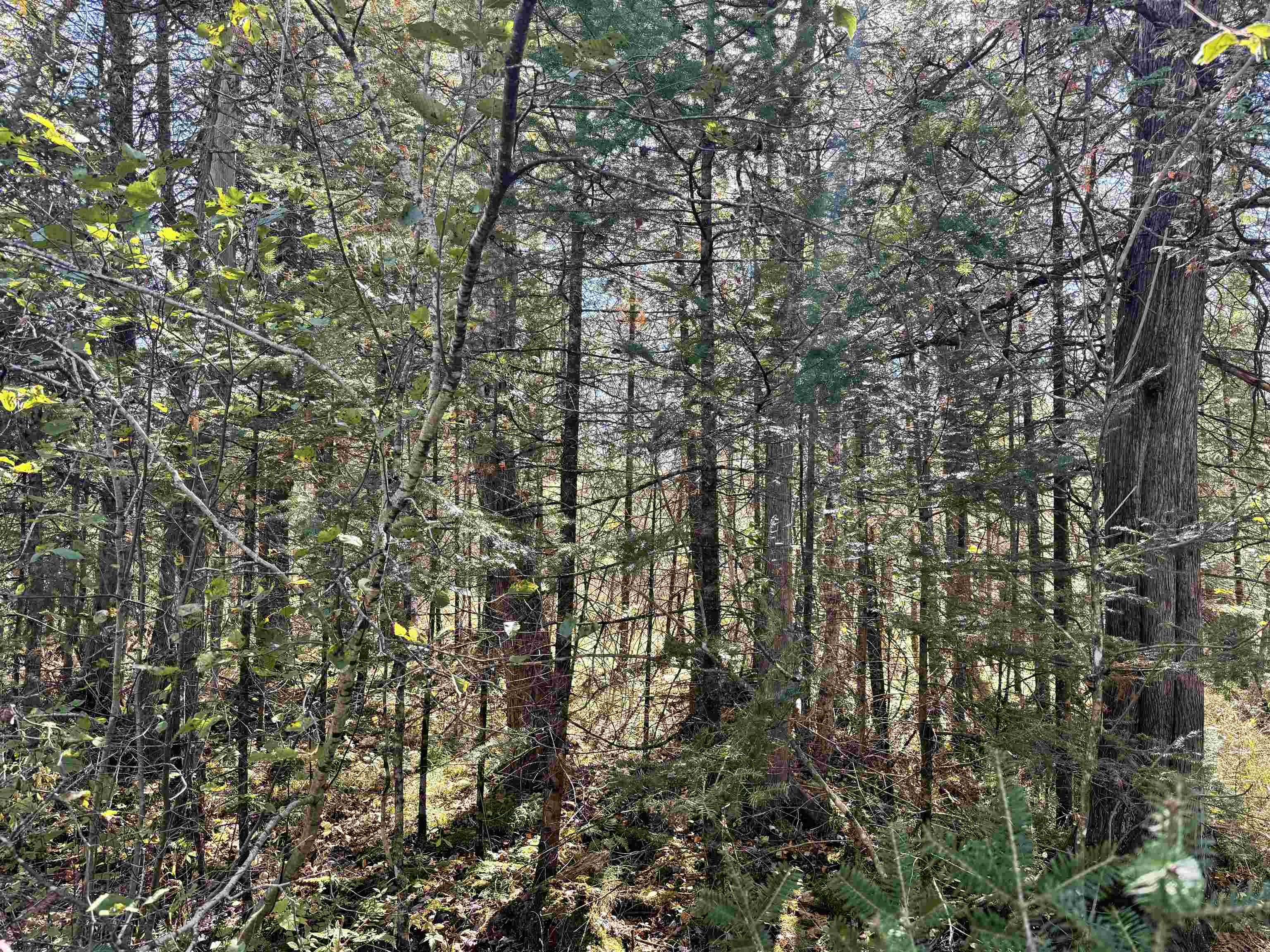 00 BEHNKE ROAD, Iola, Wisconsin 54945, ,Land,For Sale,00 BEHNKE ROAD,22604753