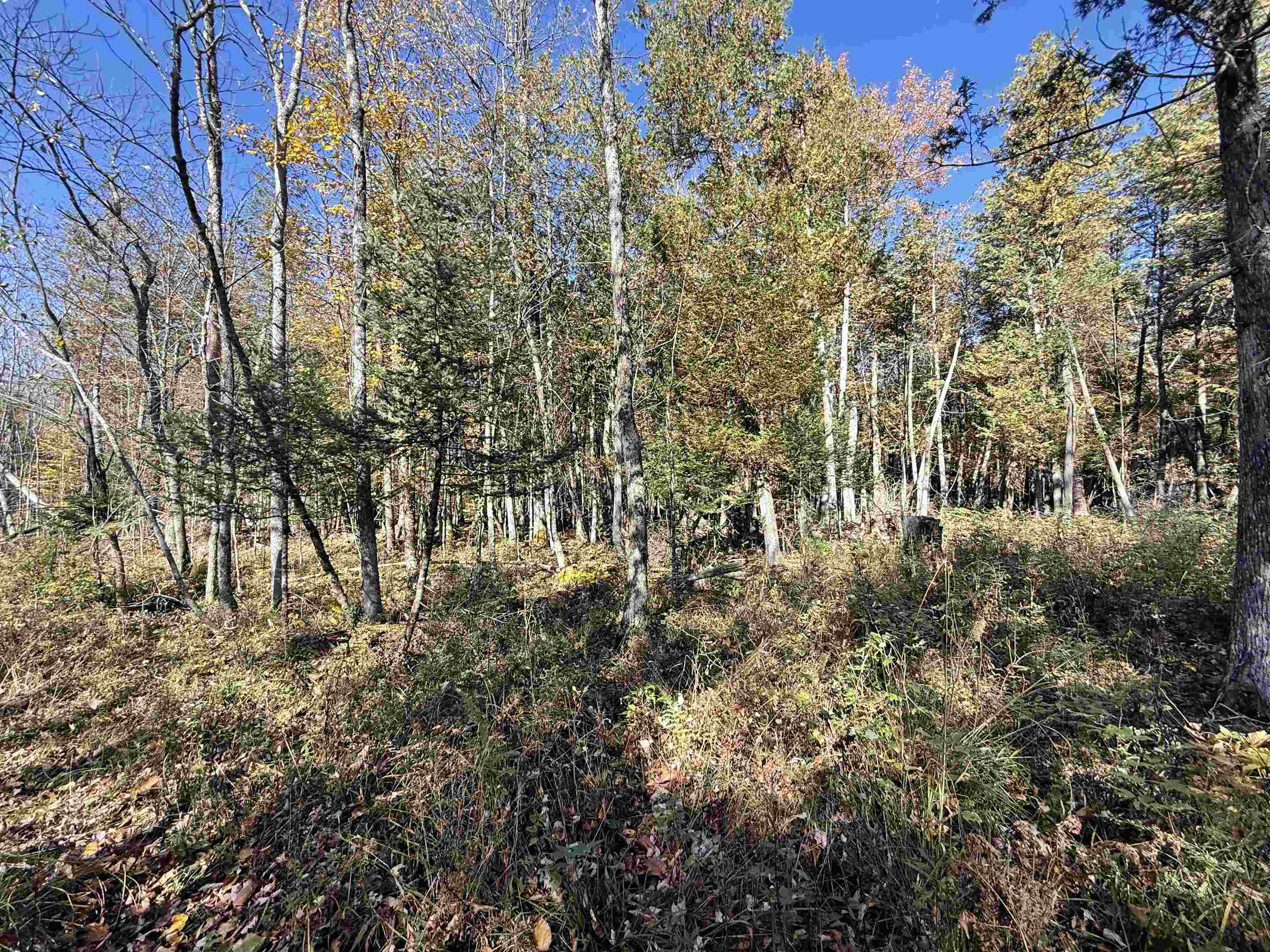 00 BEHNKE ROAD, Iola, Wisconsin 54945, ,Land,For Sale,00 BEHNKE ROAD,22604753